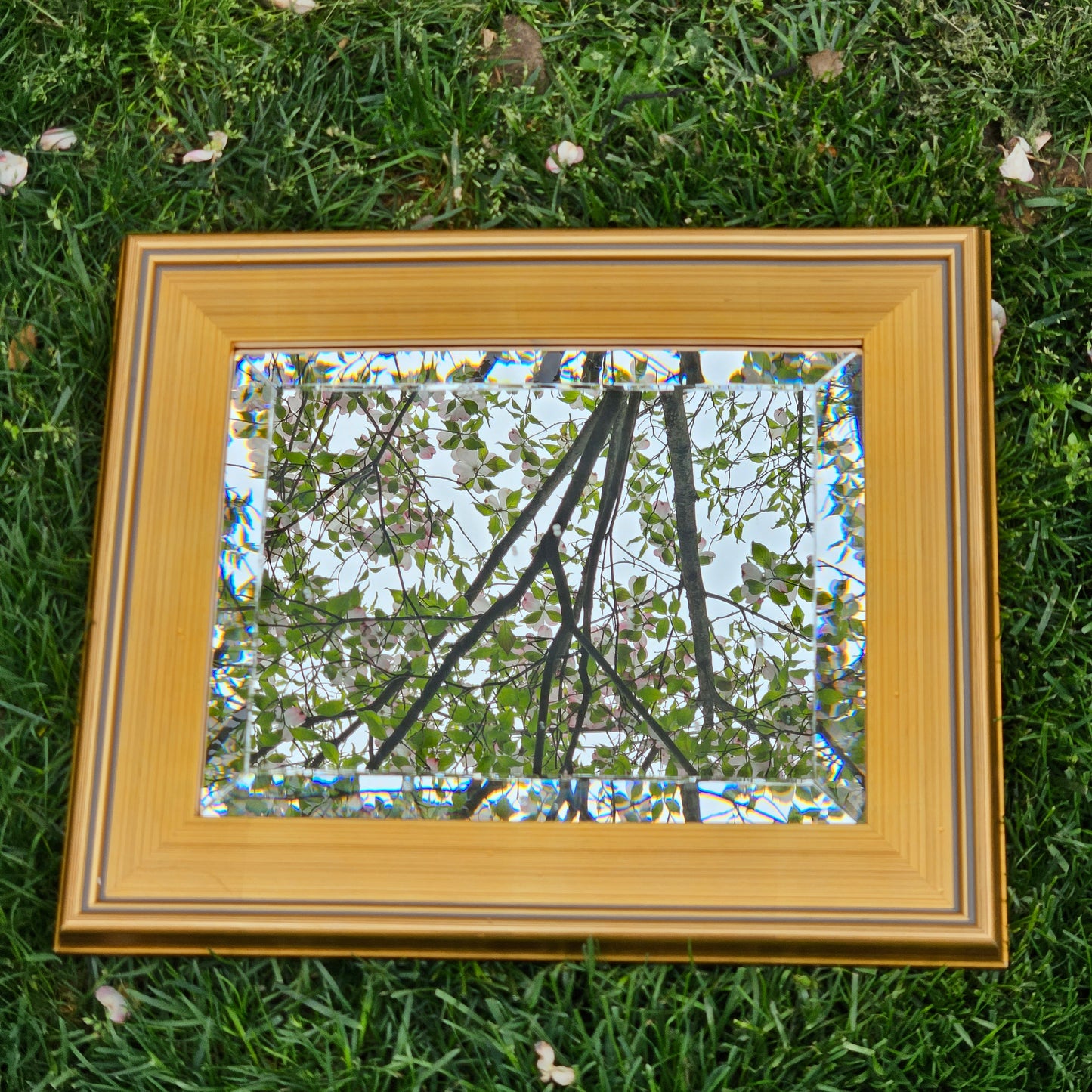 Gilt Framed Wall Mirror