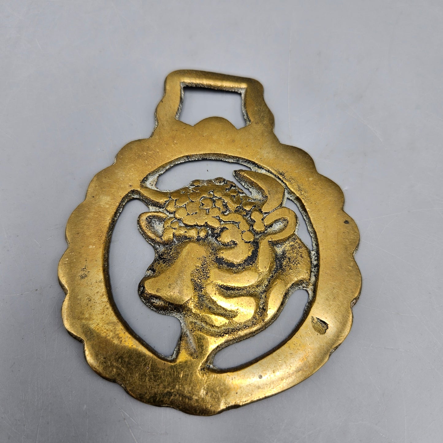 Horse Brass - Bull's Head