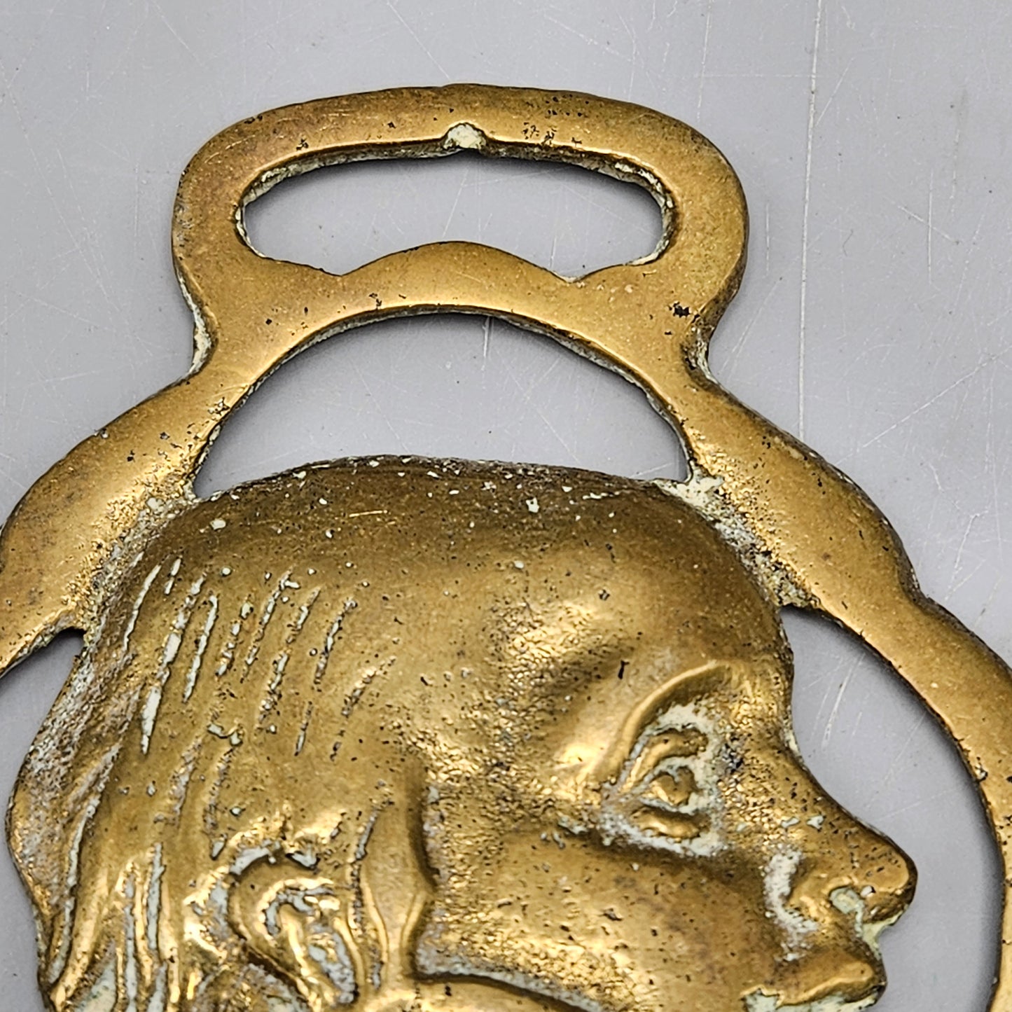 Horse Brass - Tom Pinch