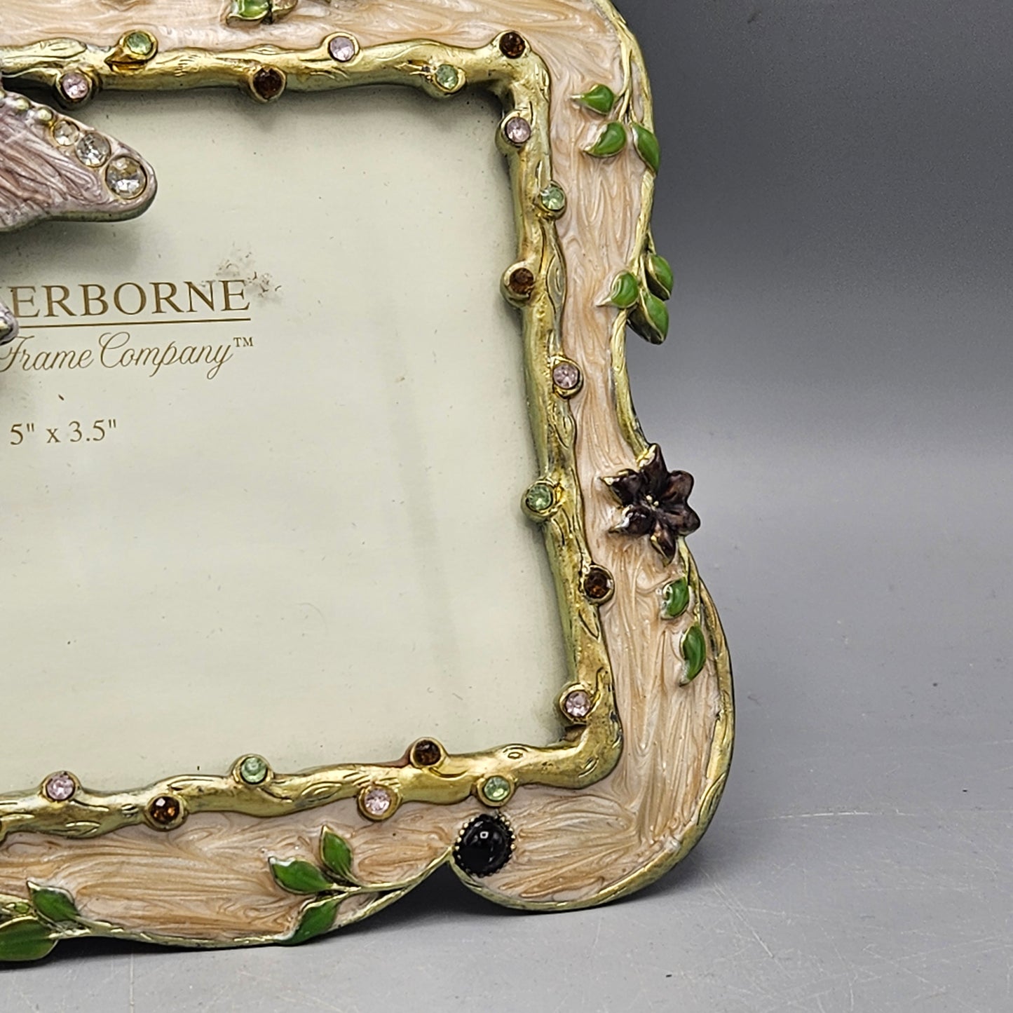 Jay Strongwater Style Enamel Picture Frame with Dragonfly