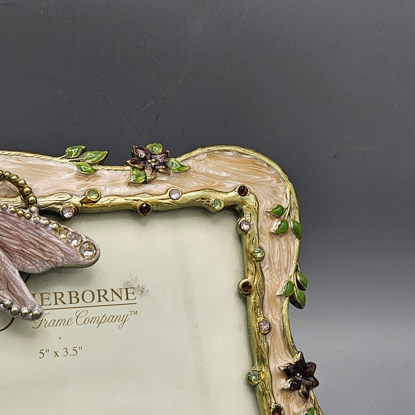 Jay Strongwater Style Enamel Picture Frame with Dragonfly