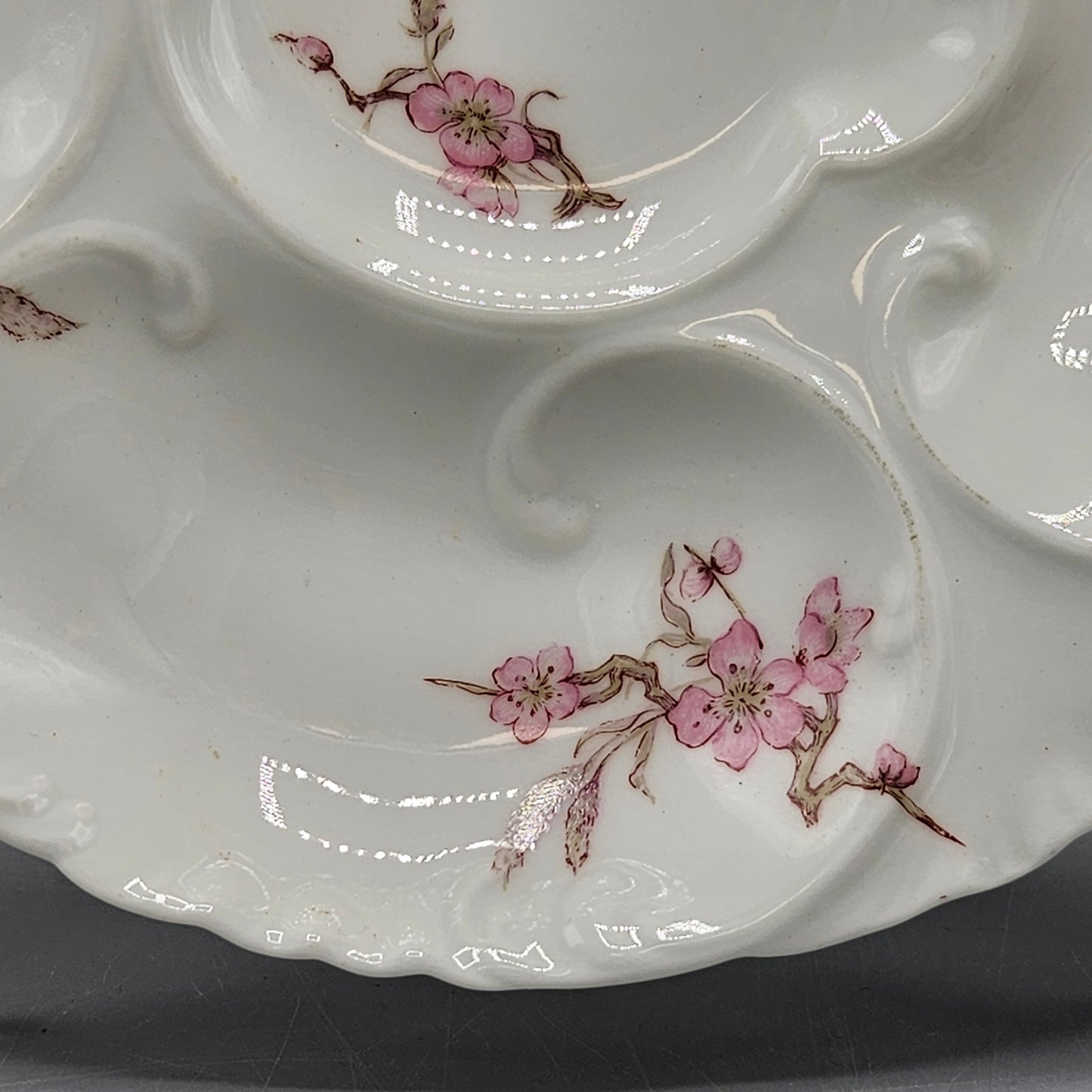 Haviland & Co Limoges Porcelain Oyster Plate with Dogwood Blossoms