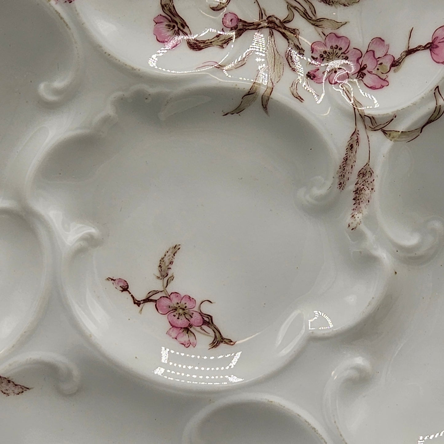 Haviland & Co Limoges Porcelain Oyster Plate with Dogwood Blossoms