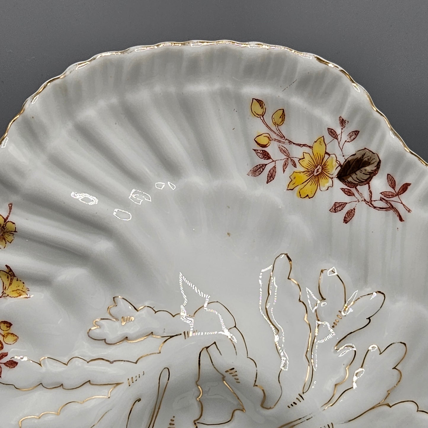 Limoges Porcelain Oyster Plate - Seaweed Pattern
