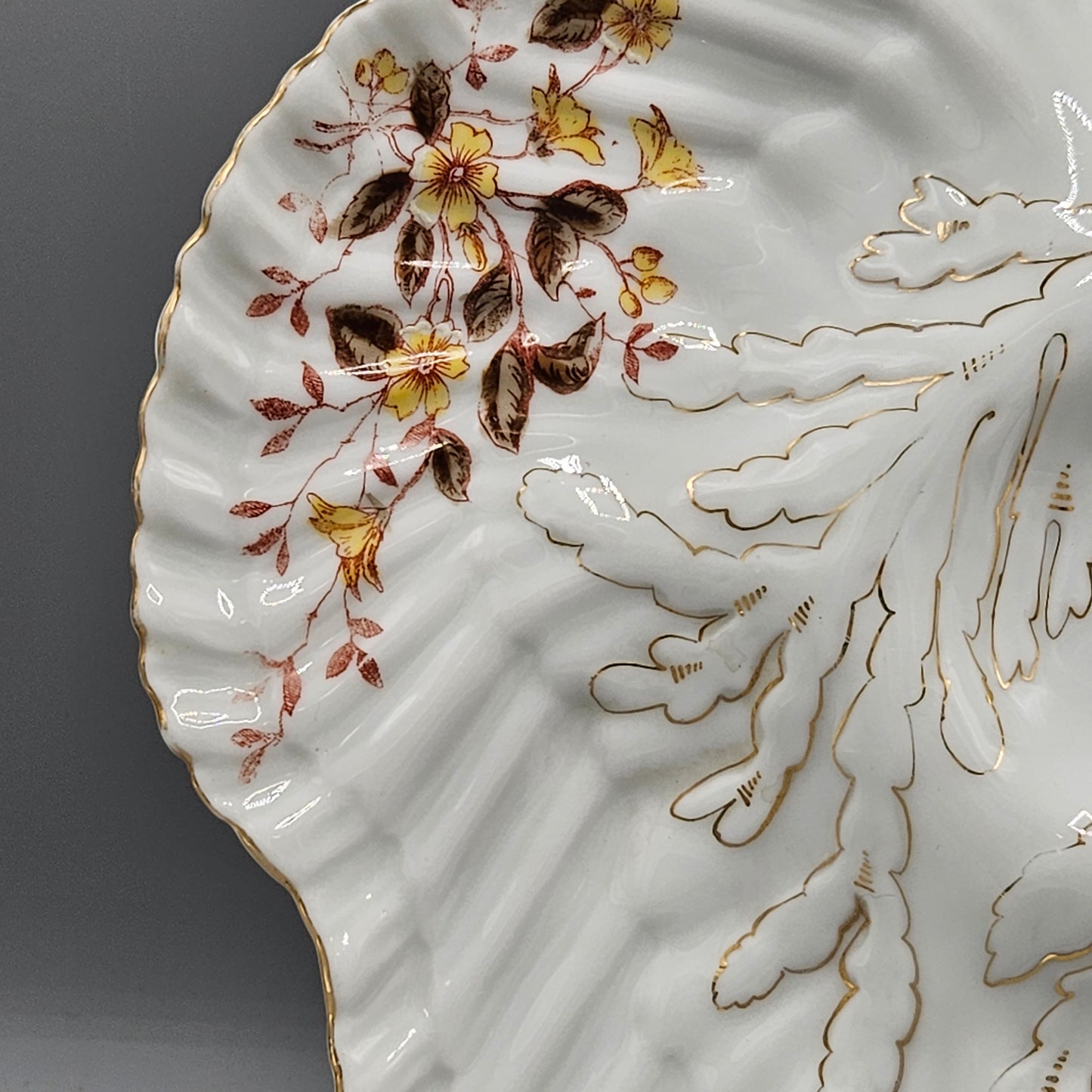 Limoges Porcelain Oyster Plate - Seaweed Pattern