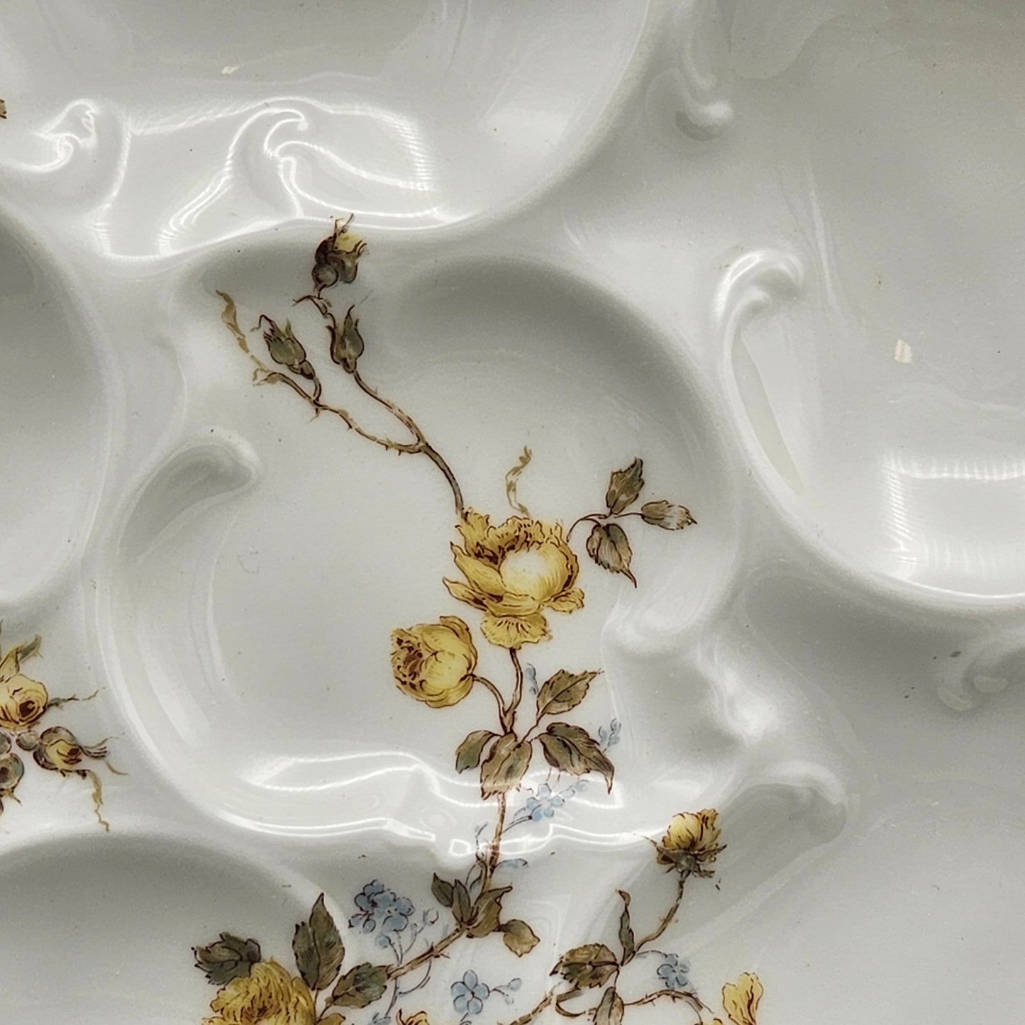 Haviland & Co Limoges Porcelain Oyster Plate