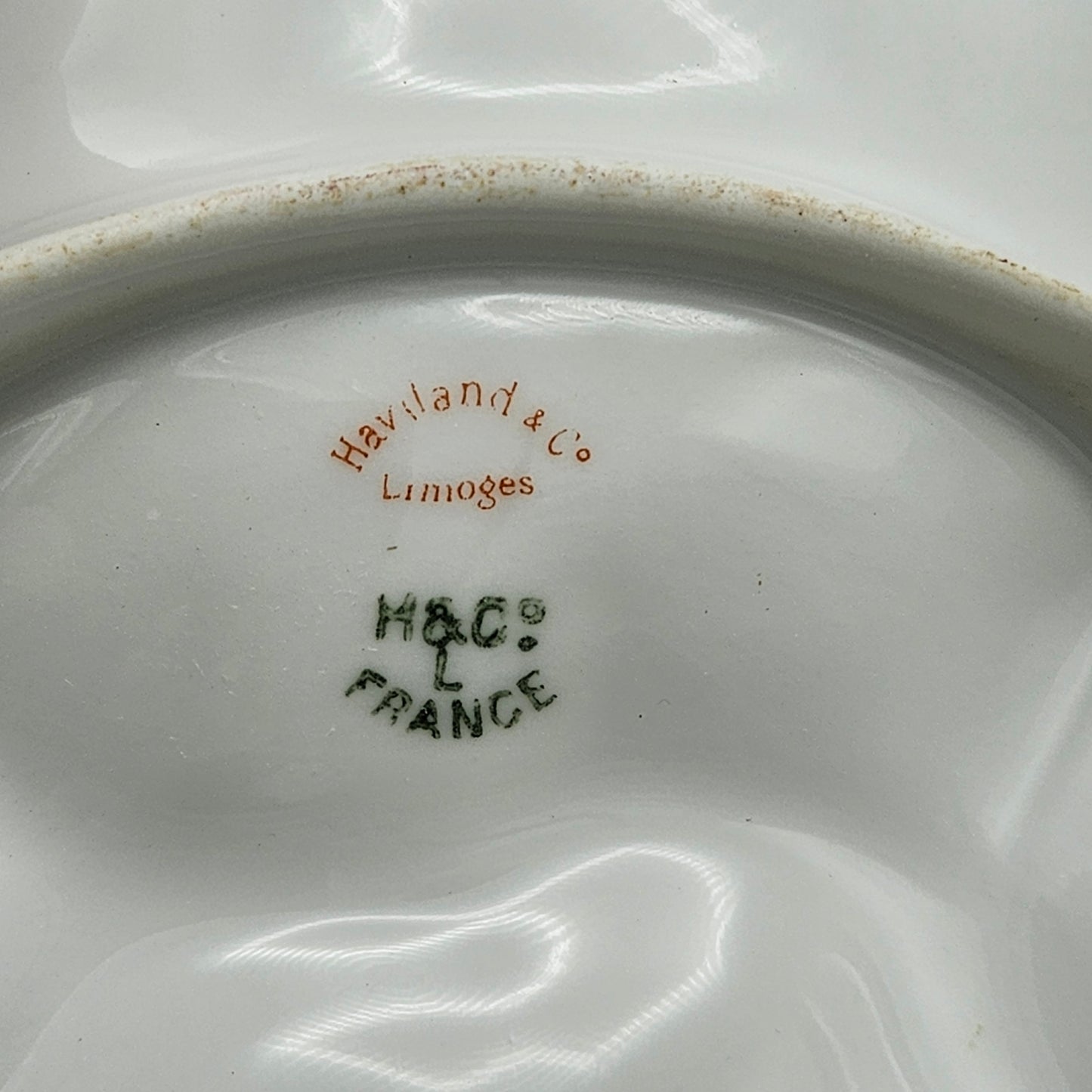Haviland & Co Limoges Porcelain Oyster Plate
