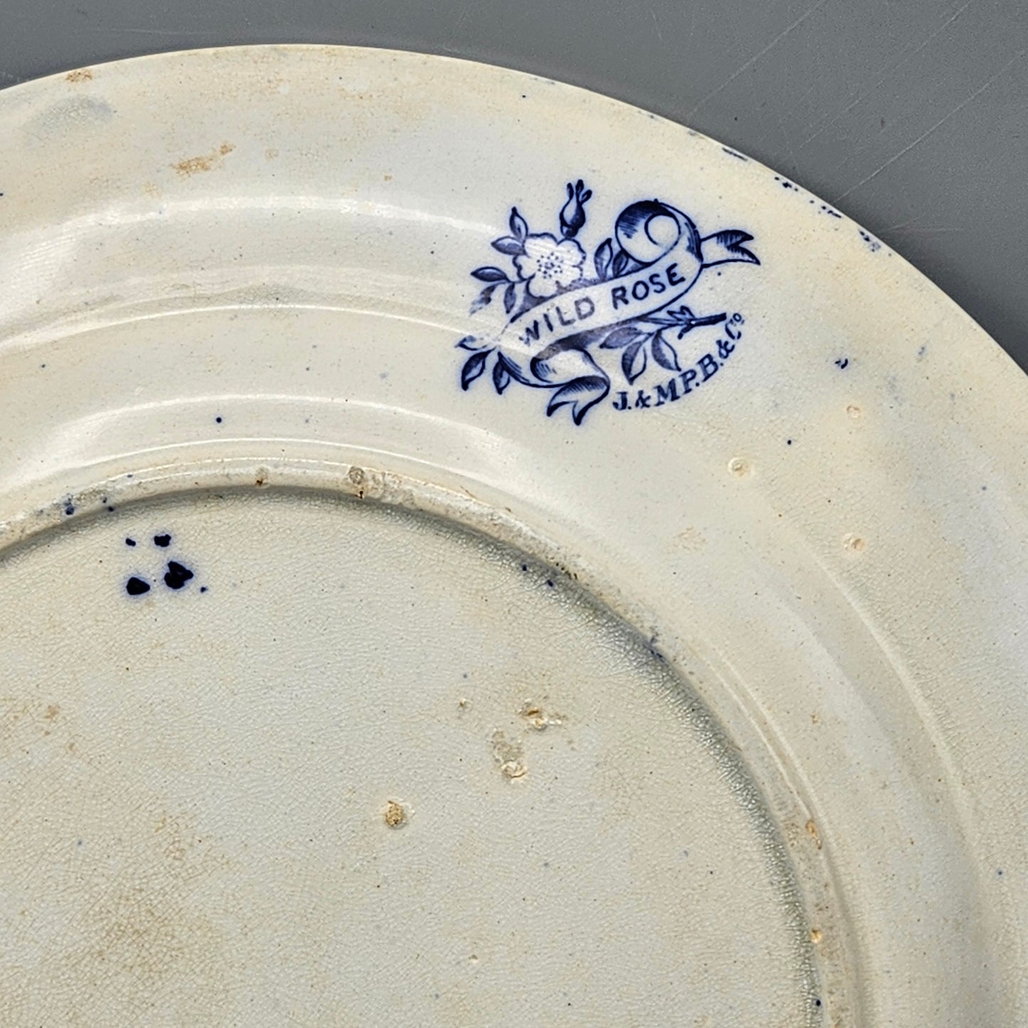 J & M P Bell & Co Wild Rose Blue Transferware Plate