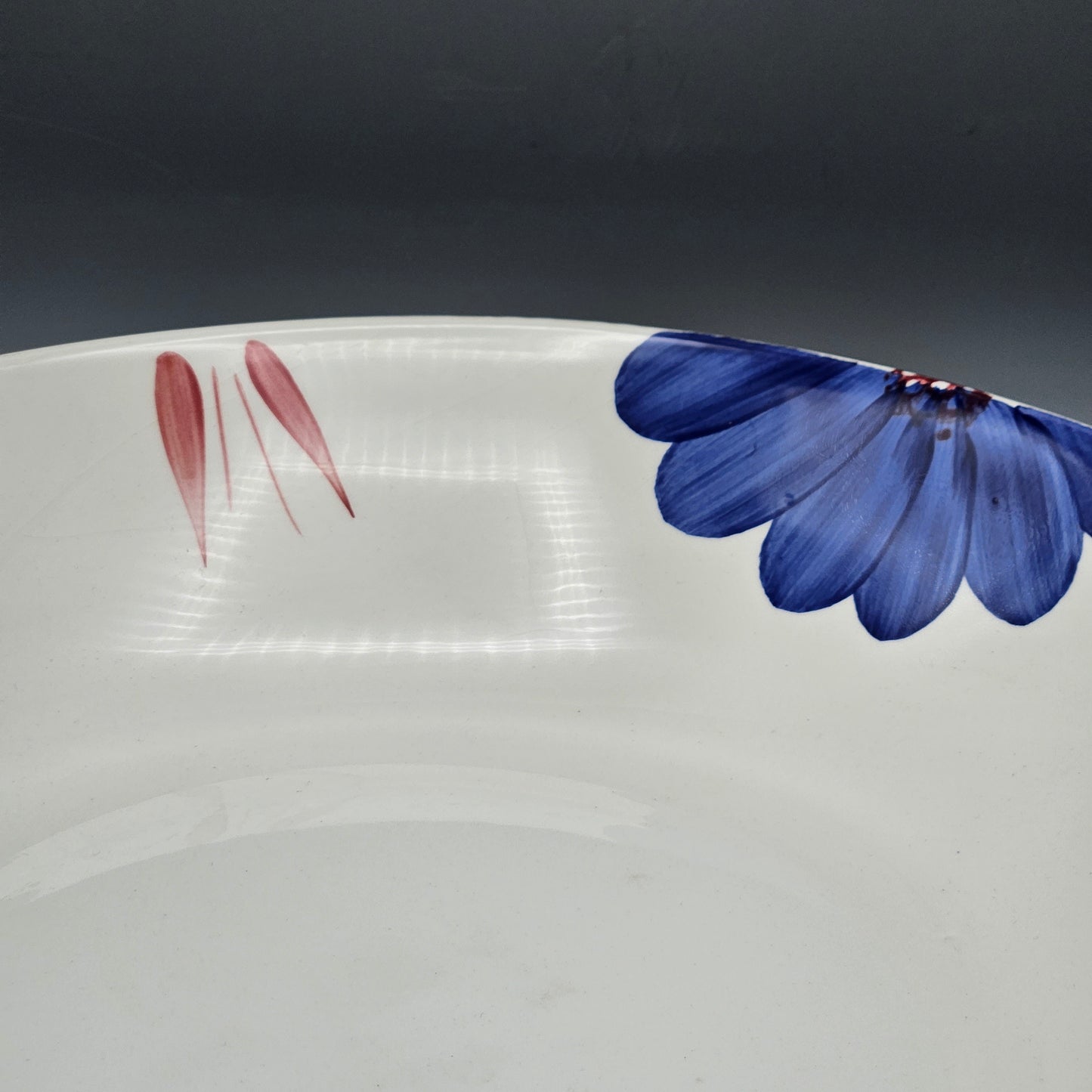 Roma Inc Hand-Painted Italian Pottery Pasta Bowl