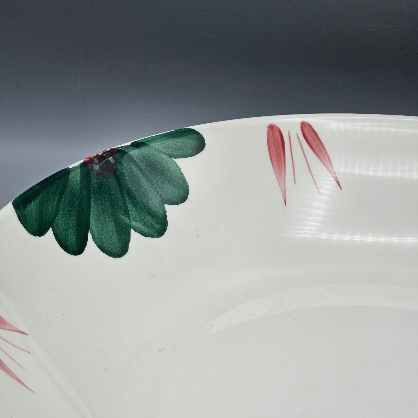 Roma Inc Hand-Painted Italian Pottery Pasta Bowl