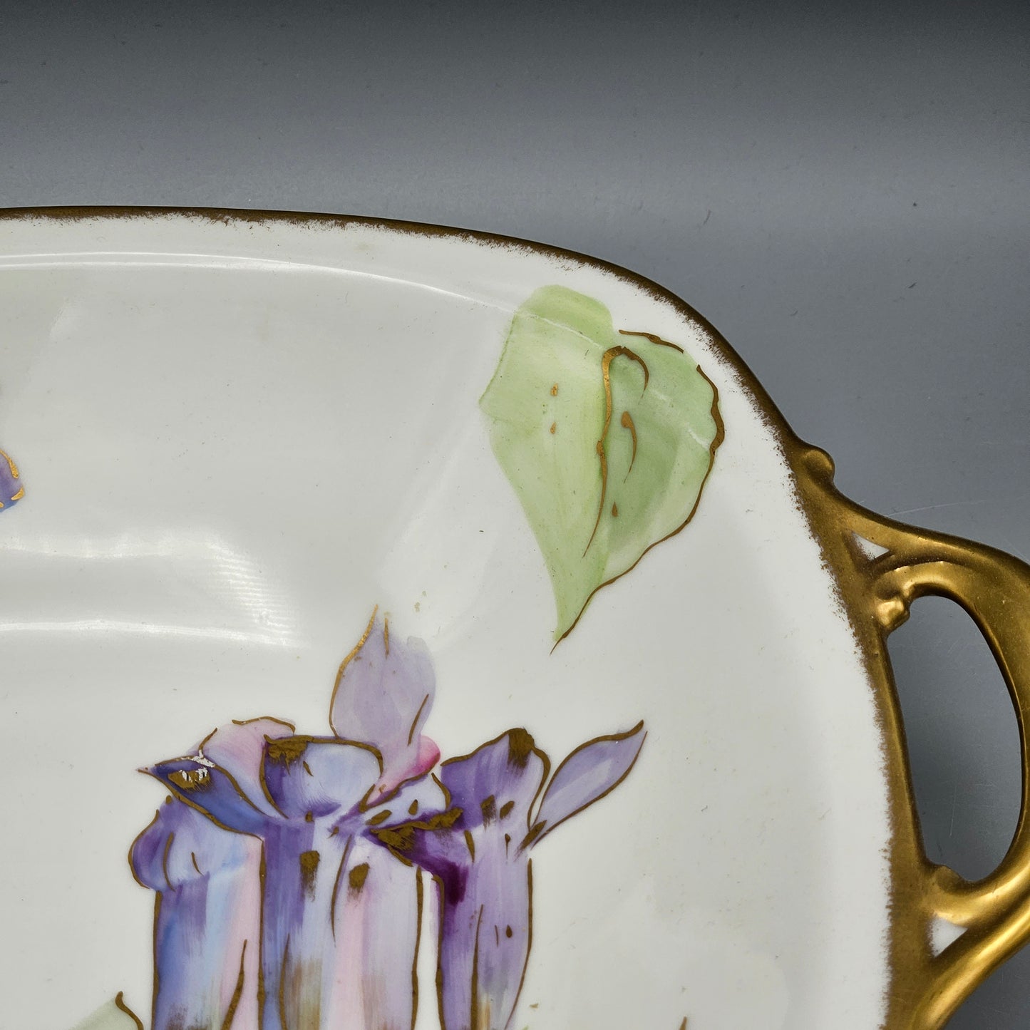 Hand-Painted Limoges Porcelain Handled Dish