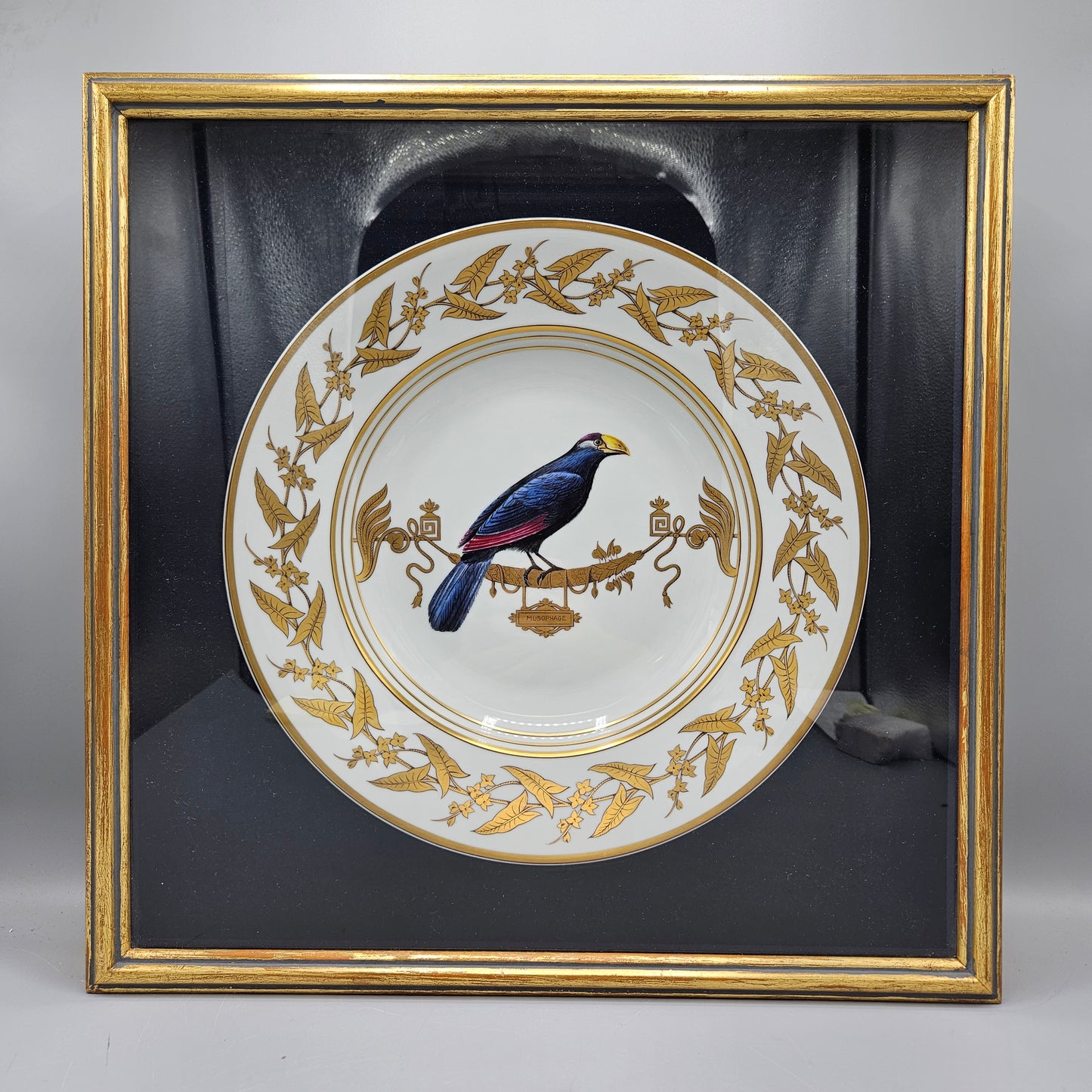 Stunning Rouard French Porcelain Handpainted Bird Plate in Frame