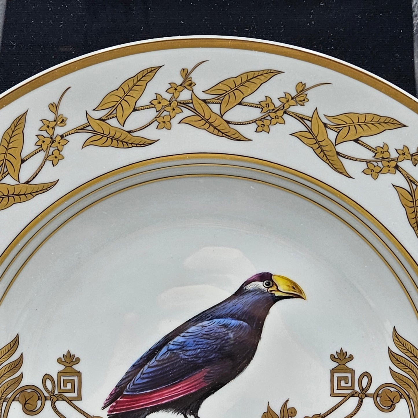 Stunning Rouard French Porcelain Handpainted Bird Plate in Frame