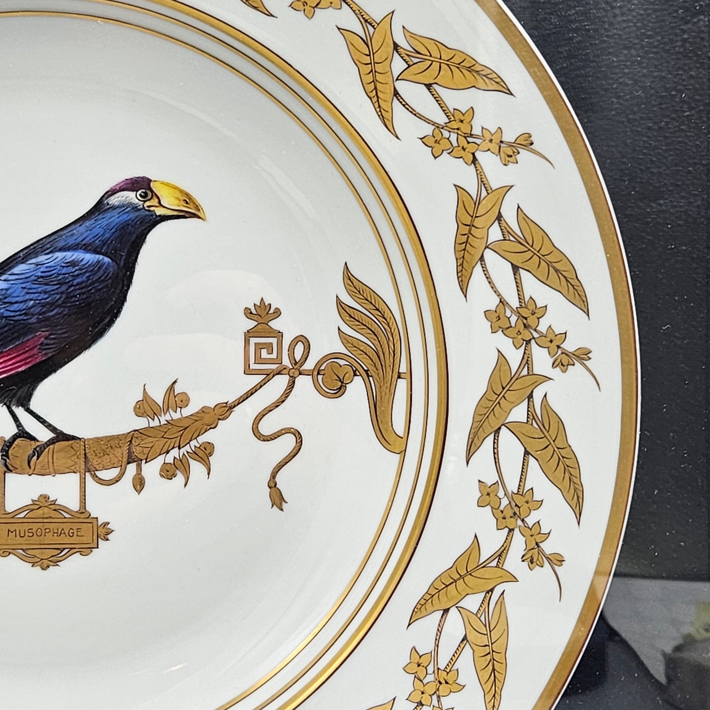 Stunning Rouard French Porcelain Handpainted Bird Plate in Frame