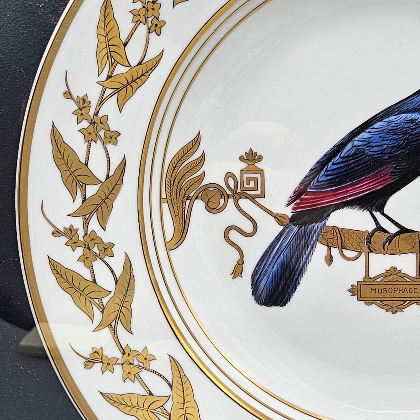 Stunning Rouard French Porcelain Handpainted Bird Plate in Frame