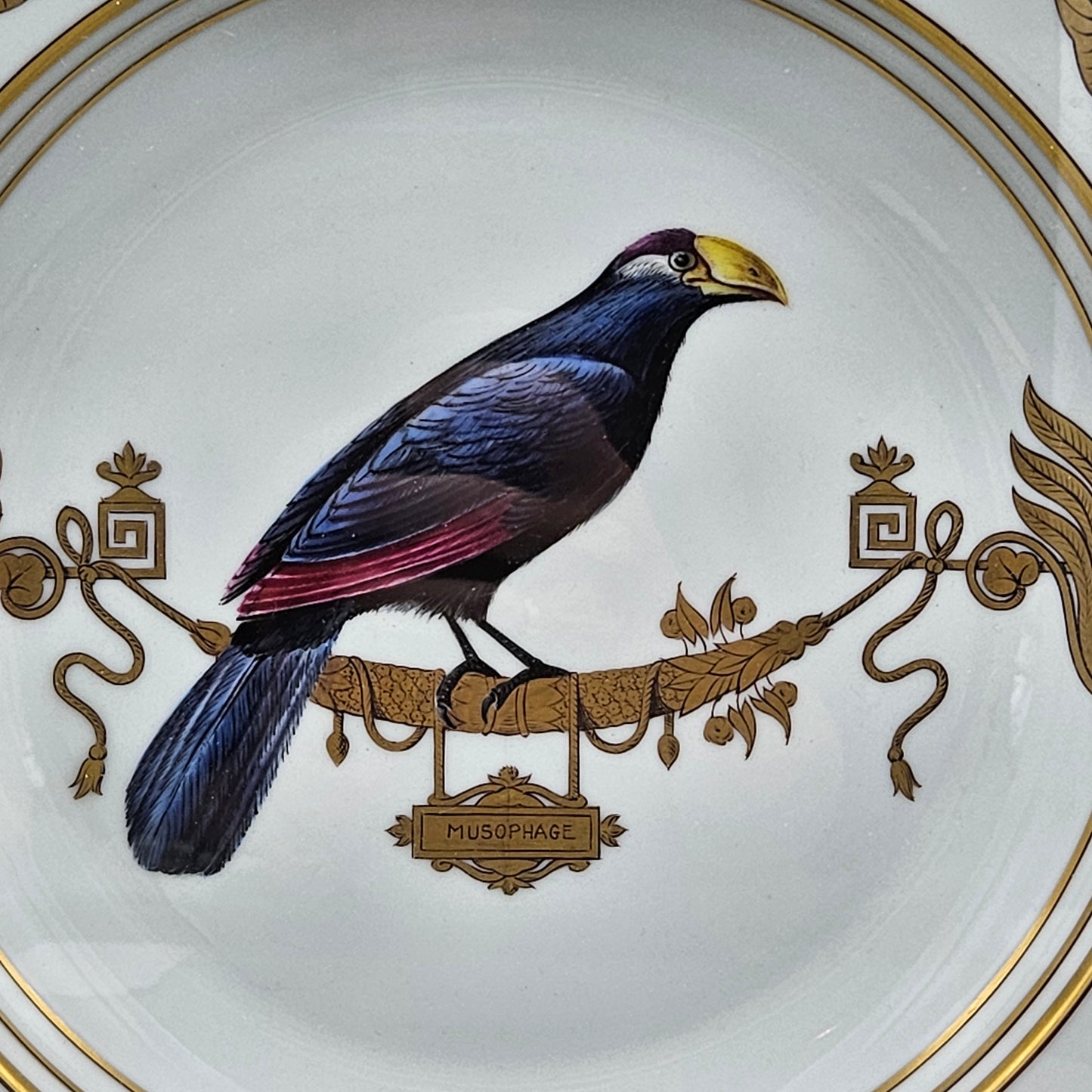 Stunning Rouard French Porcelain Handpainted Bird Plate in Frame