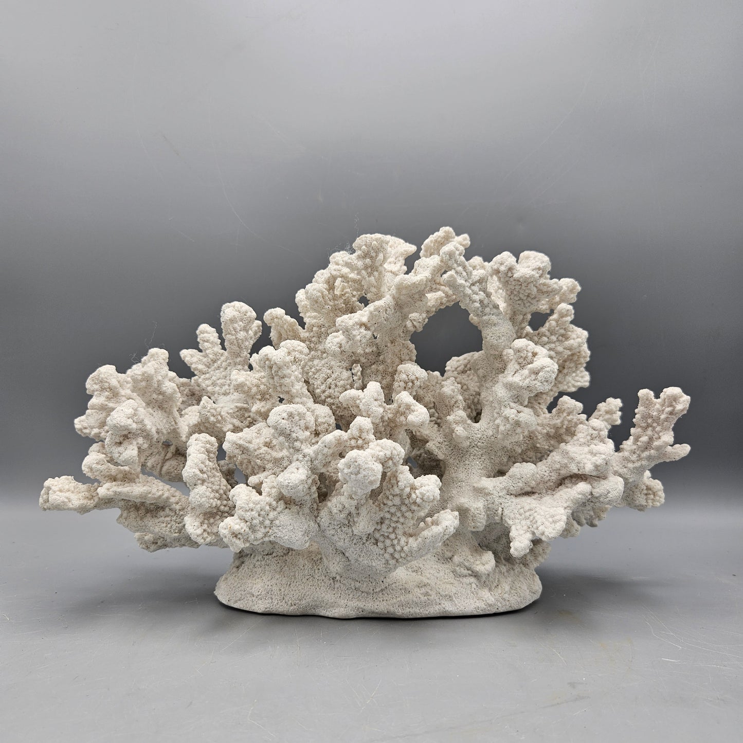 Faux White Coral Sculpture (2 Available)