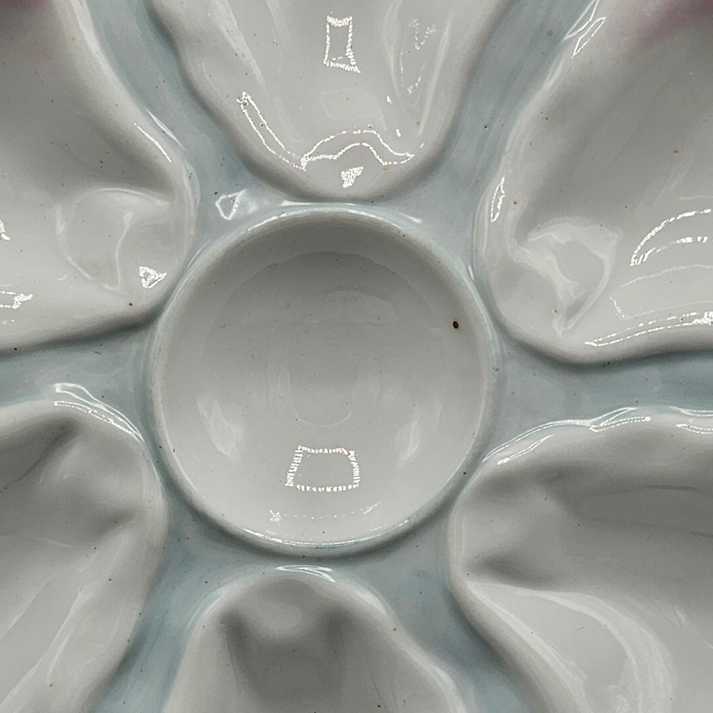 Antique Pink Oyster Plate