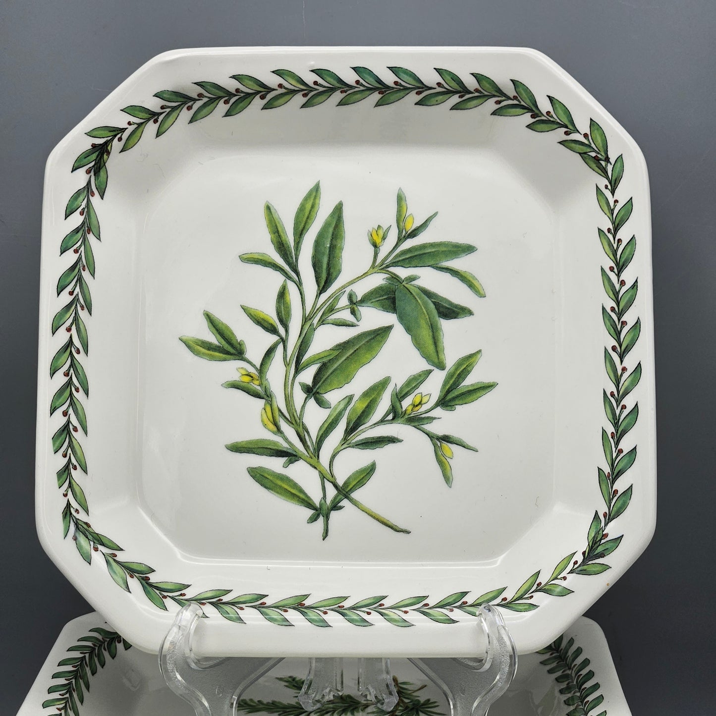 Set of 10 Due Torri Italian Portmeirion Botanic Garden Style Square Plates 8"