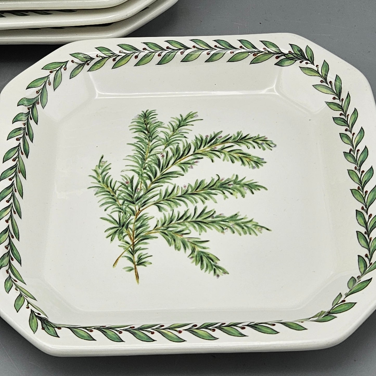 Set of 10 Due Torri Italian Portmeirion Botanic Garden Style Square Plates 8"