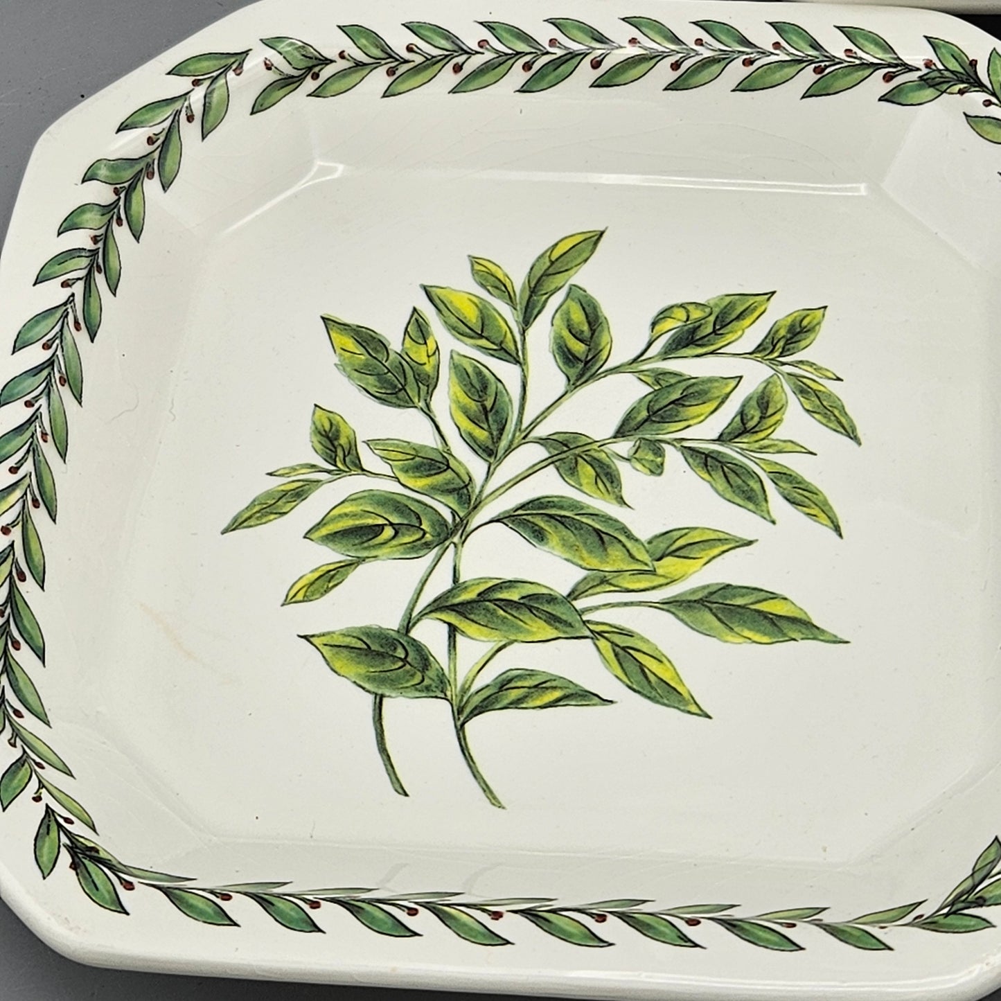 Set of 10 Due Torri Italian Portmeirion Botanic Garden Style Square Plates 8"