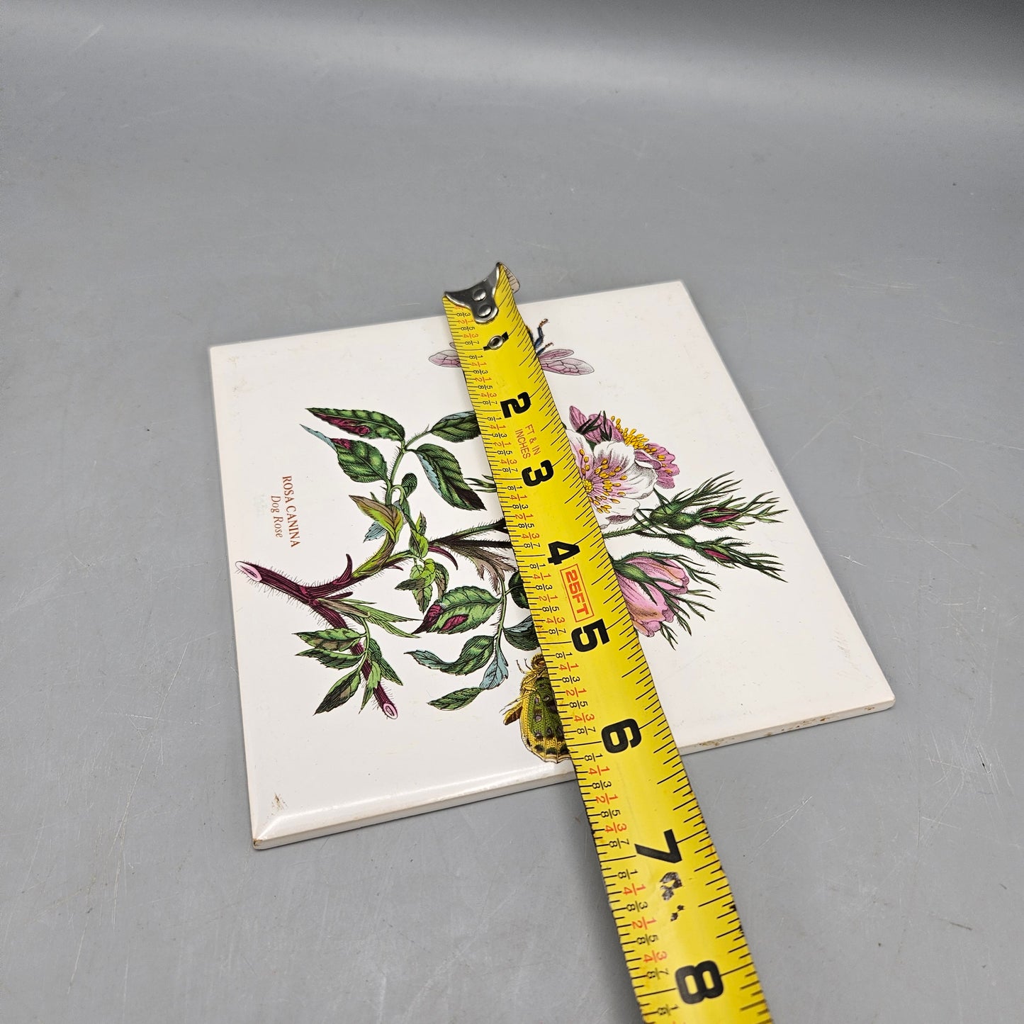Vintage Portmeirion Botanic Garden Ceramic Trivet Dog Rose Bee Butterfly