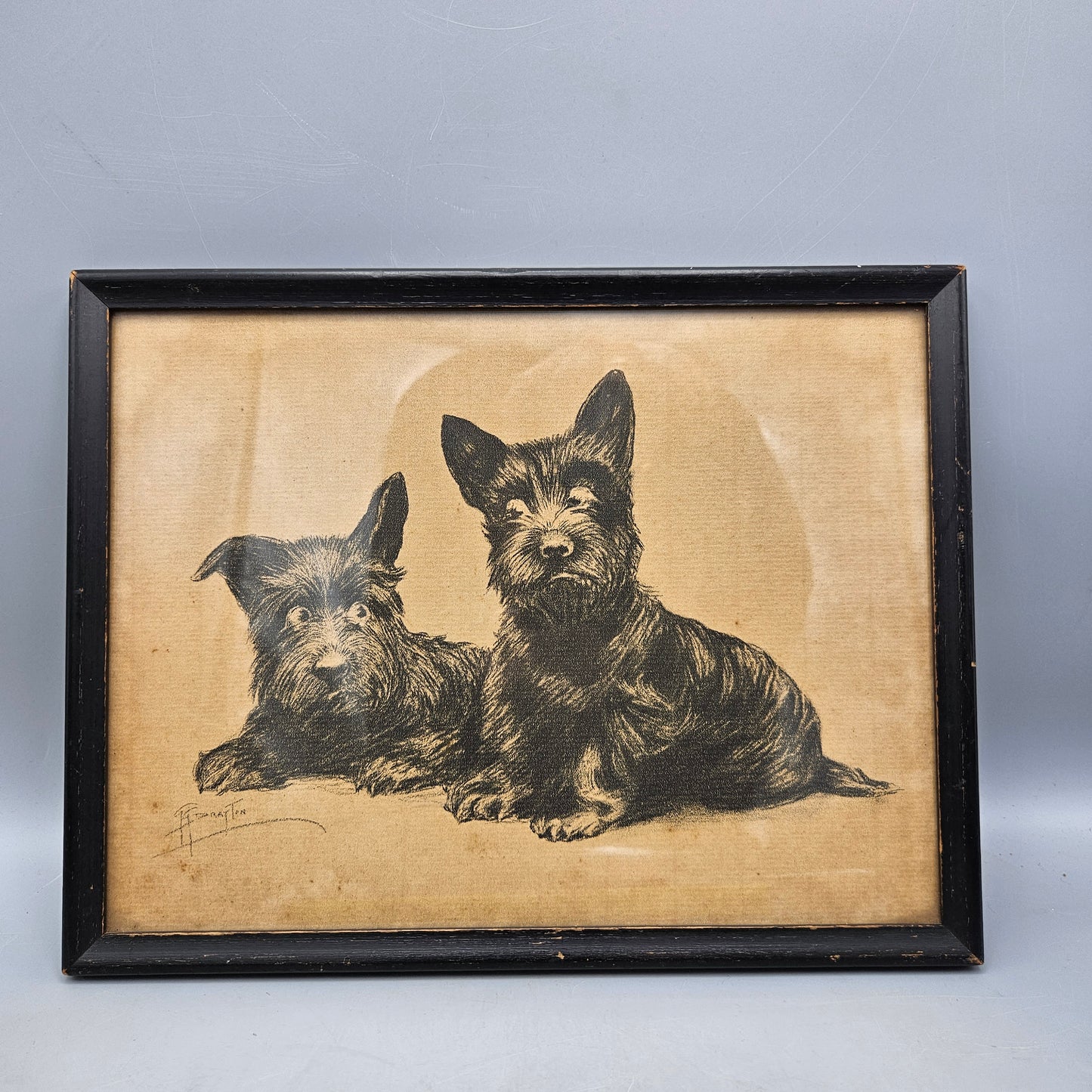 Antique Black Scottie Dog Print "Check and Double Check" by Grace Drayton