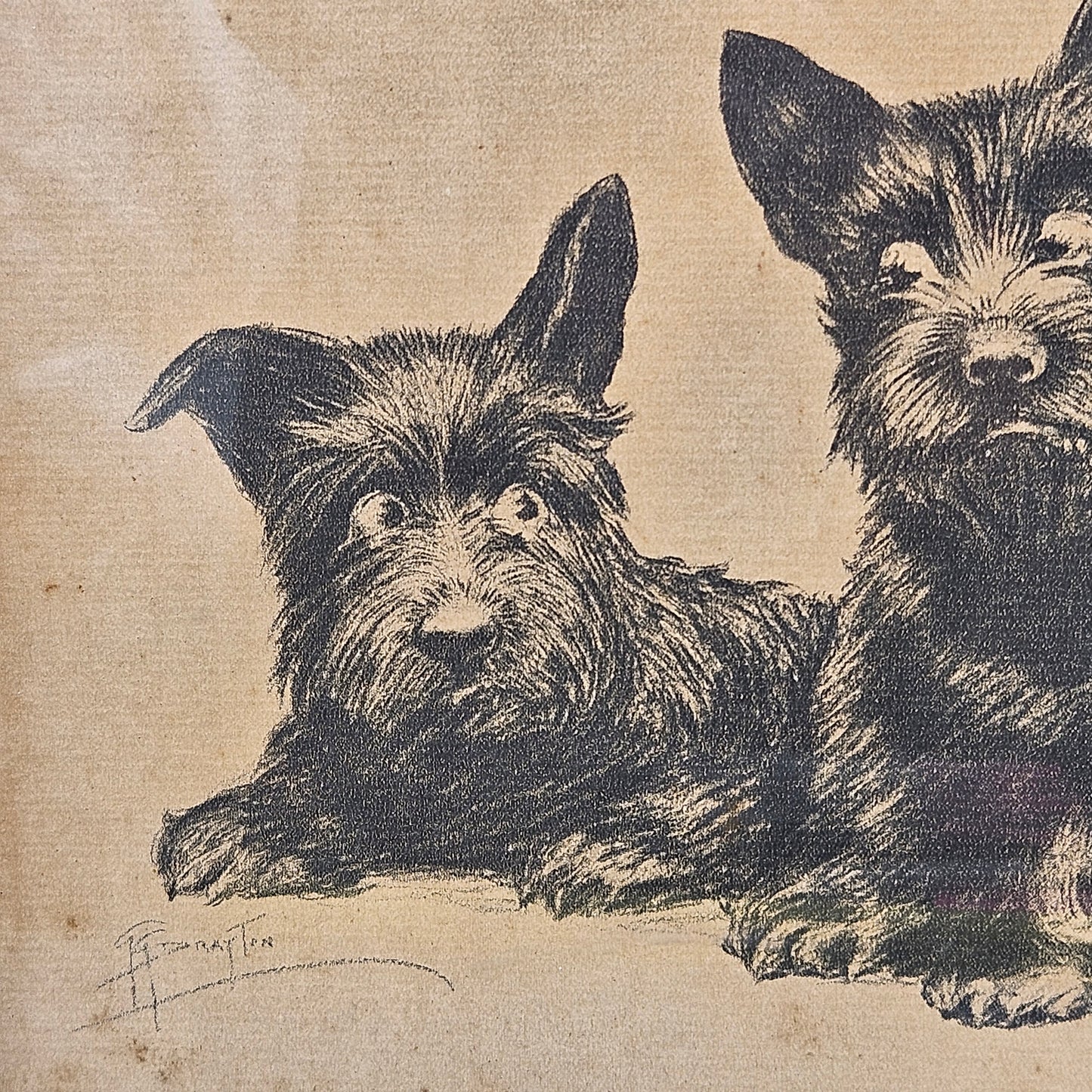 Antique Black Scottie Dog Print "Check and Double Check" by Grace Drayton