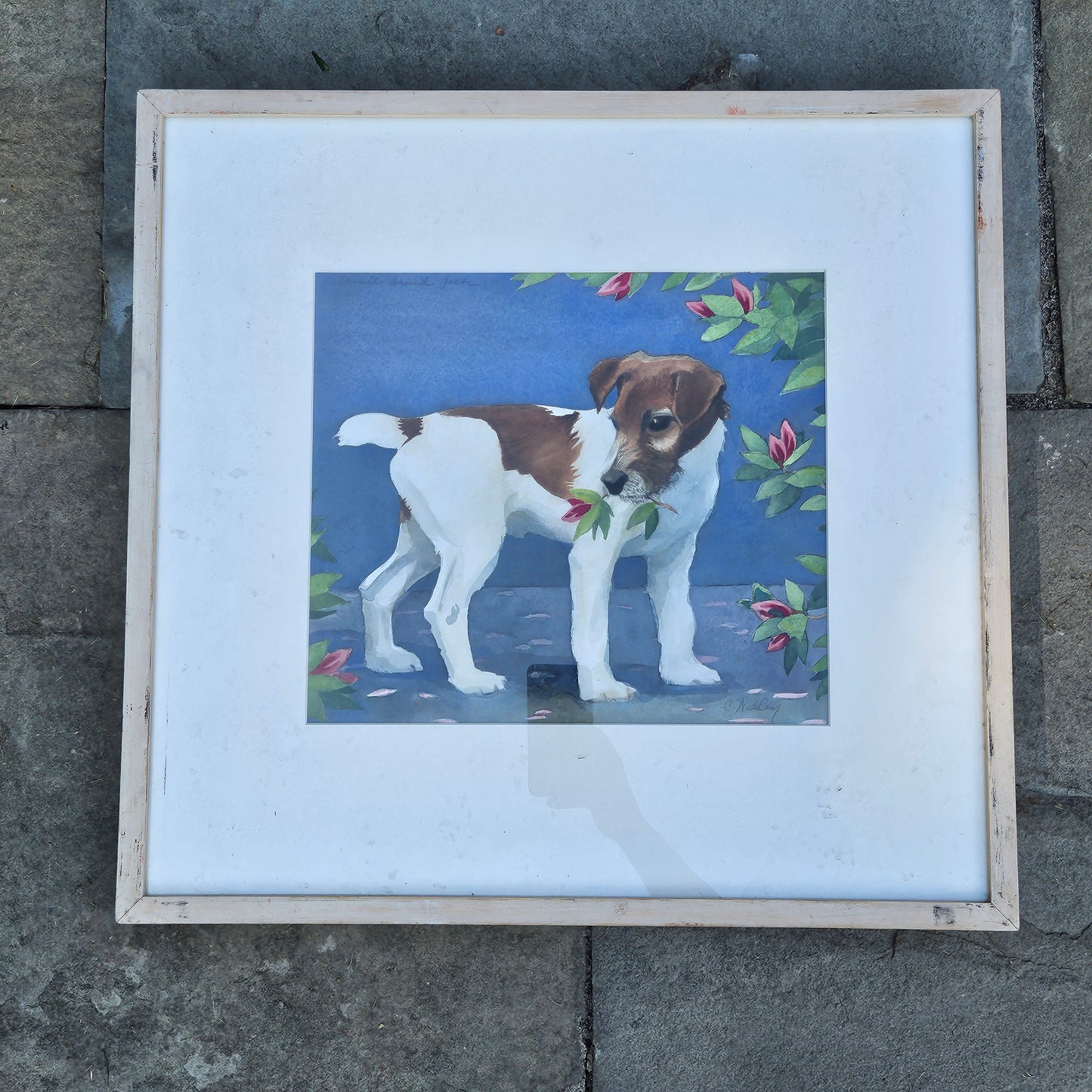 Original Signed Watercolor Painting of Jack Russel Terrier Dog