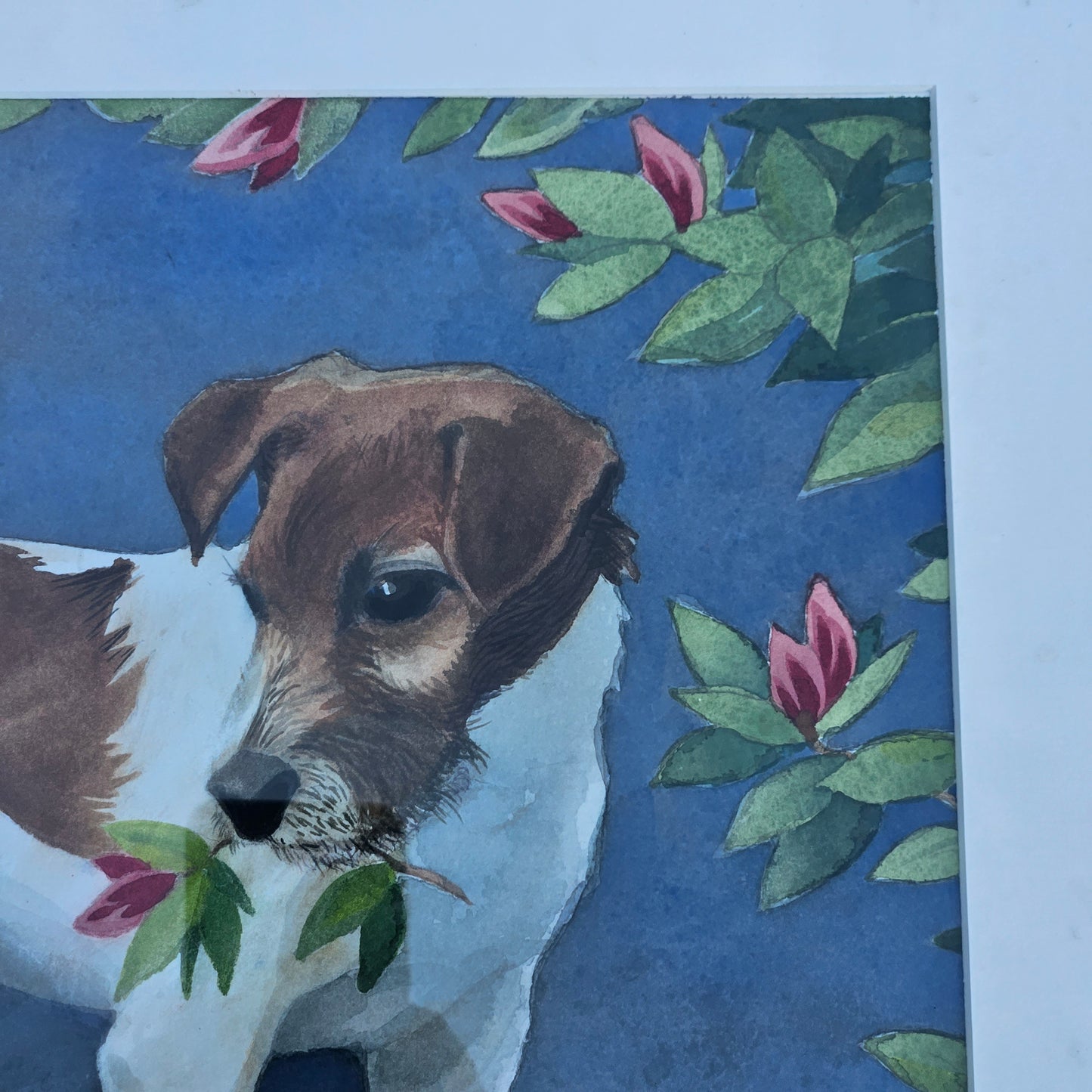 Original Signed Watercolor Painting of Jack Russel Terrier Dog