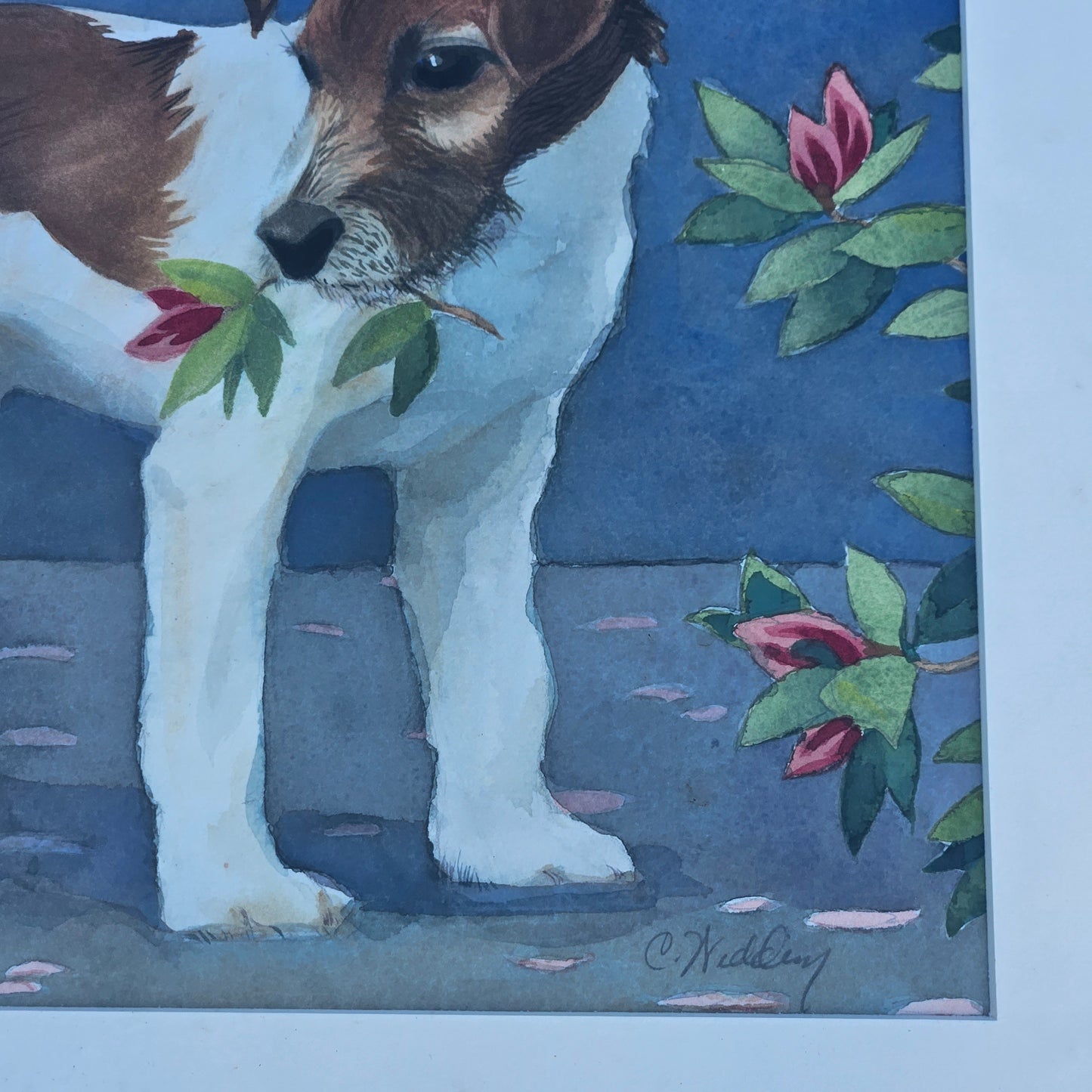 Original Signed Watercolor Painting of Jack Russel Terrier Dog