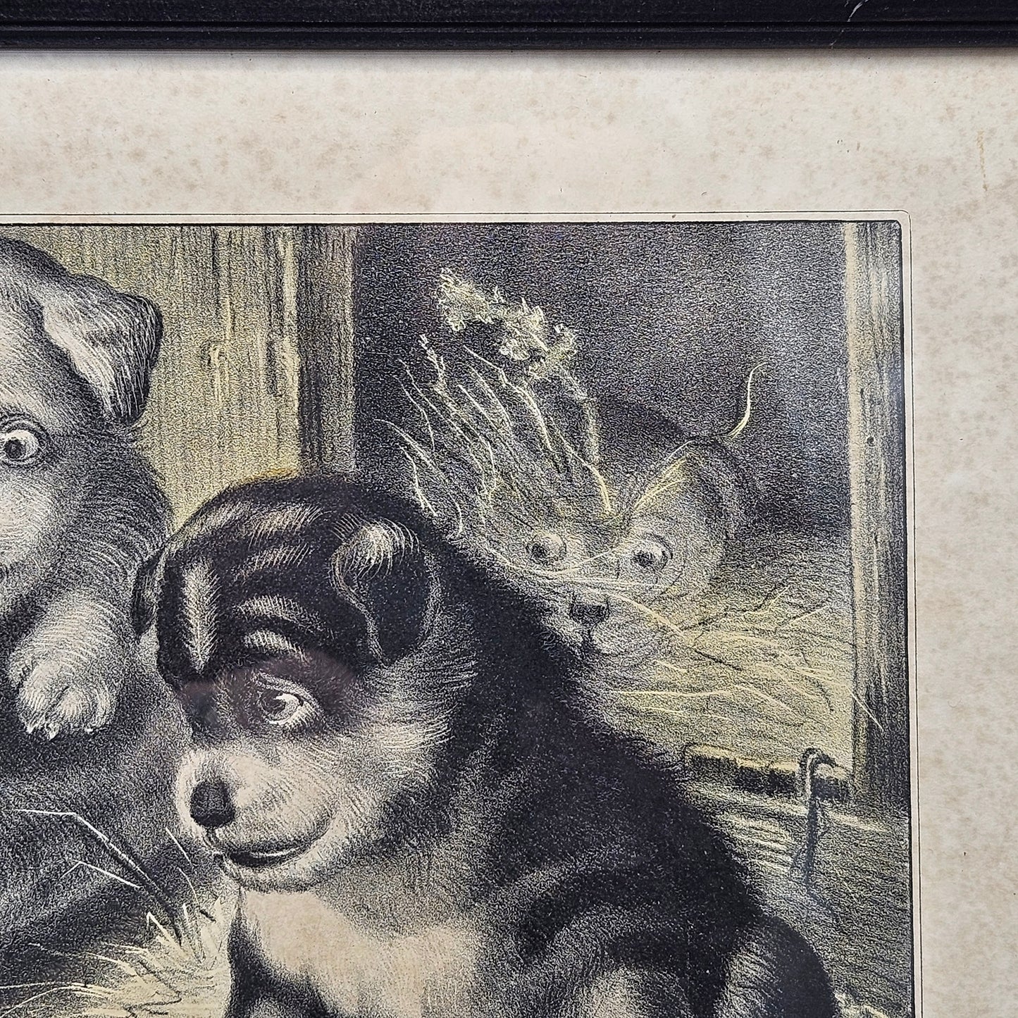 Currier & Ives, Dogs and Mouse, Who’s Afraid of You, Antique Etching