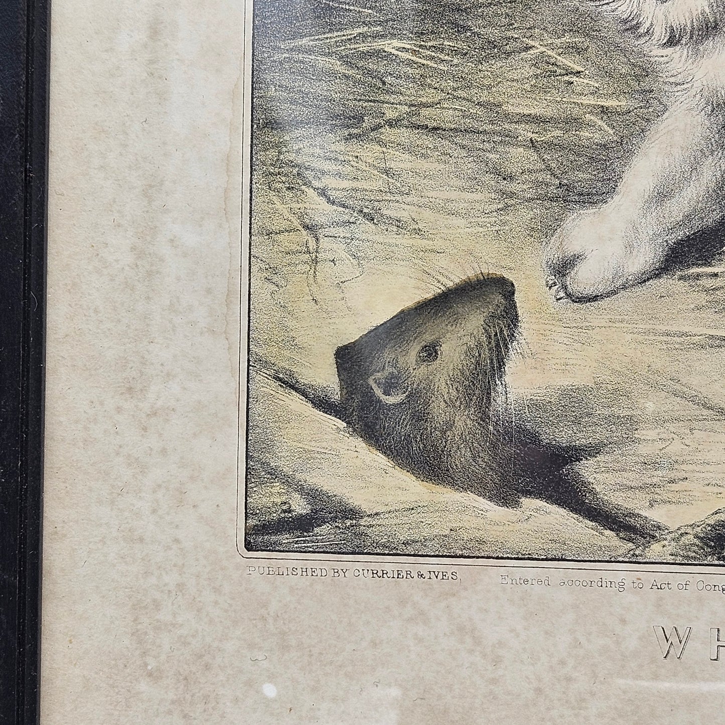 Currier & Ives, Dogs and Mouse, Who’s Afraid of You, Antique Etching