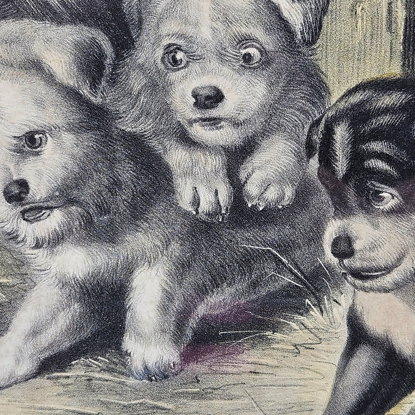 Currier & Ives, Dogs and Mouse, Who’s Afraid of You, Antique Etching