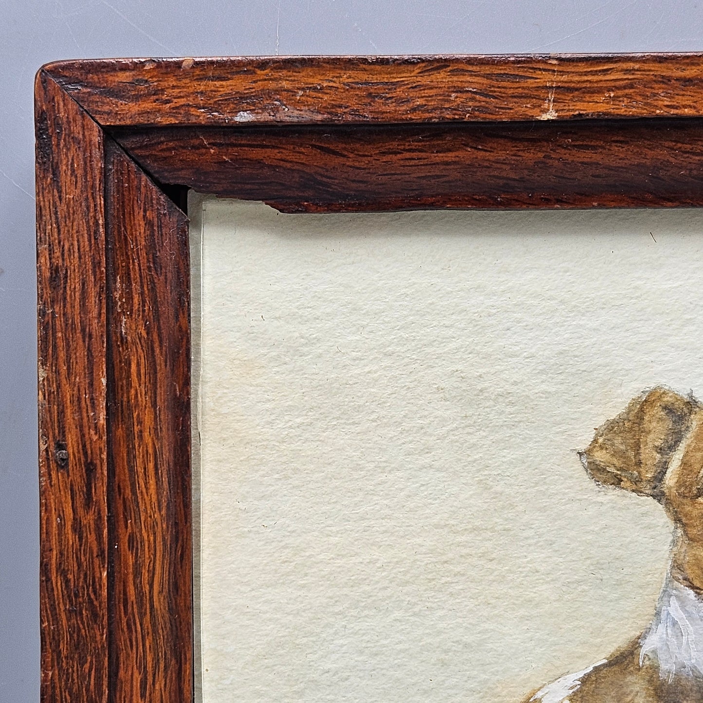 Original Antique Drawing of Dog