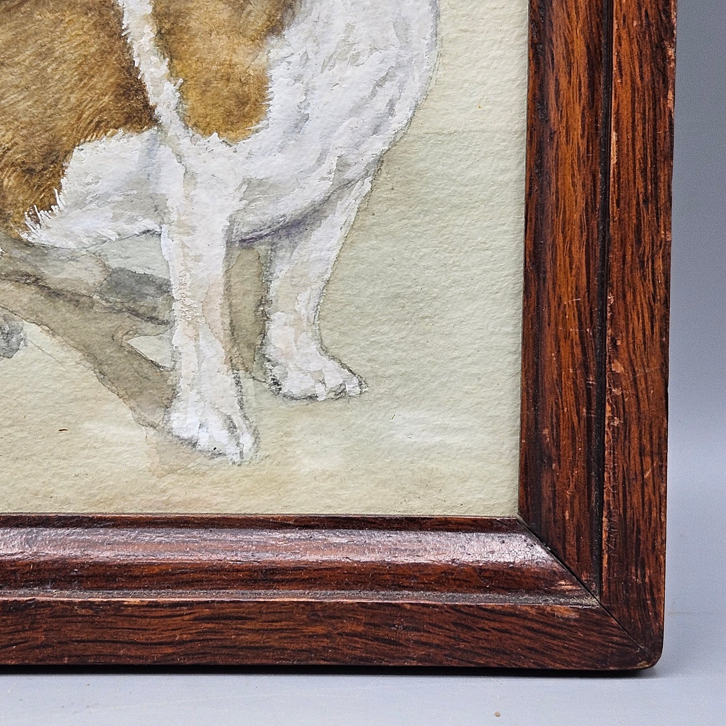 Original Antique Drawing of Dog