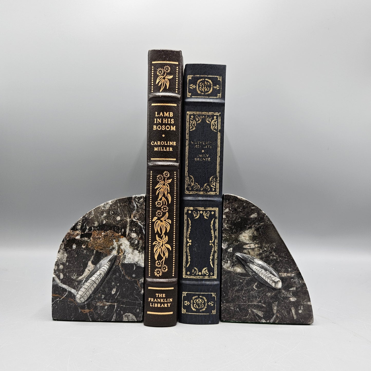 Pair of Orthoceras Bookends