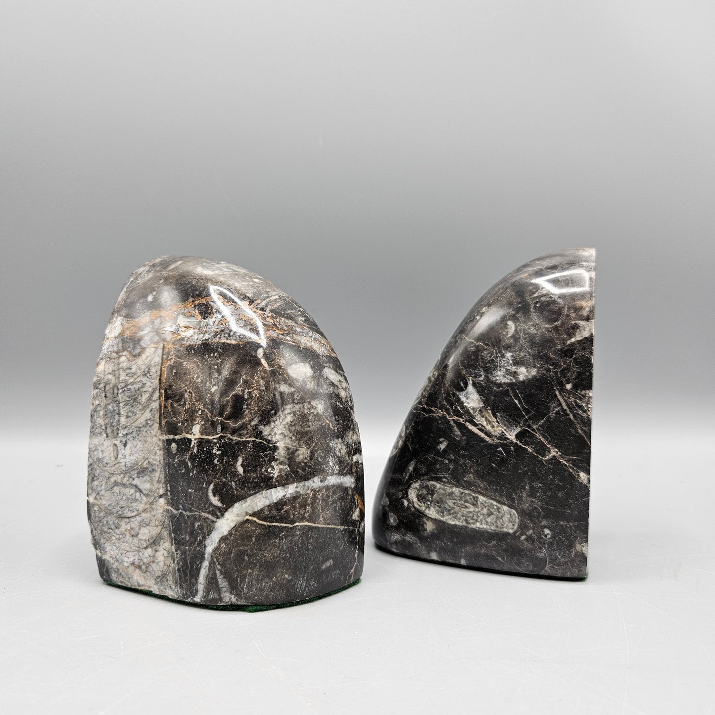 Pair of Orthoceras Bookends