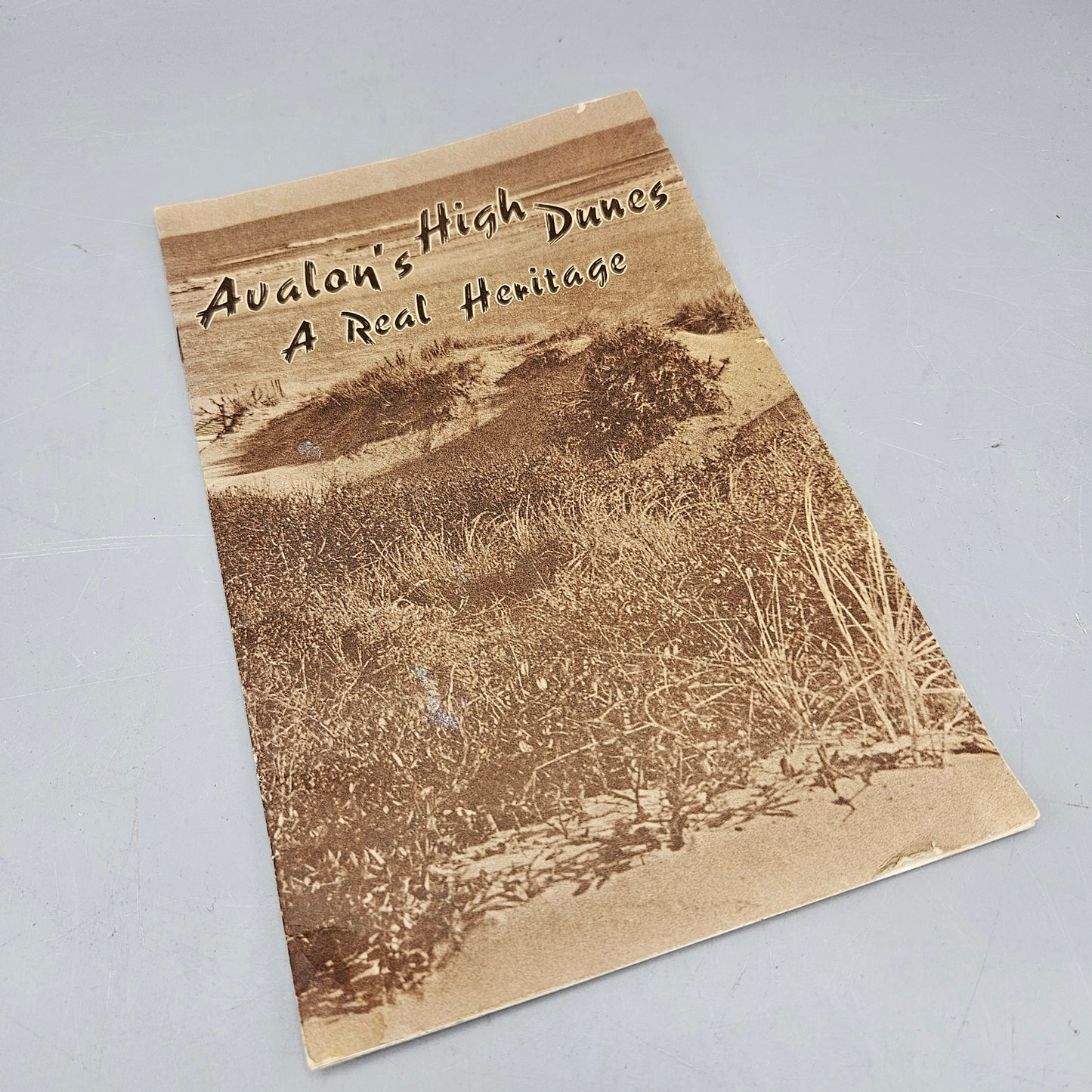 Vintage Avalon New Jersey NJ "Avalon's High Dunes A Real Heritage" Magazine Book