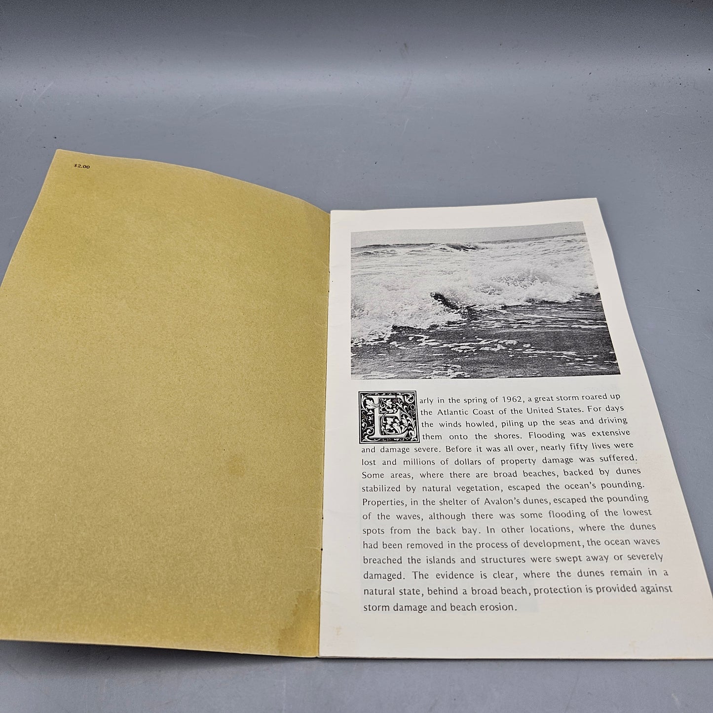 Vintage Avalon New Jersey NJ "Avalon's High Dunes A Real Heritage" Magazine Book
