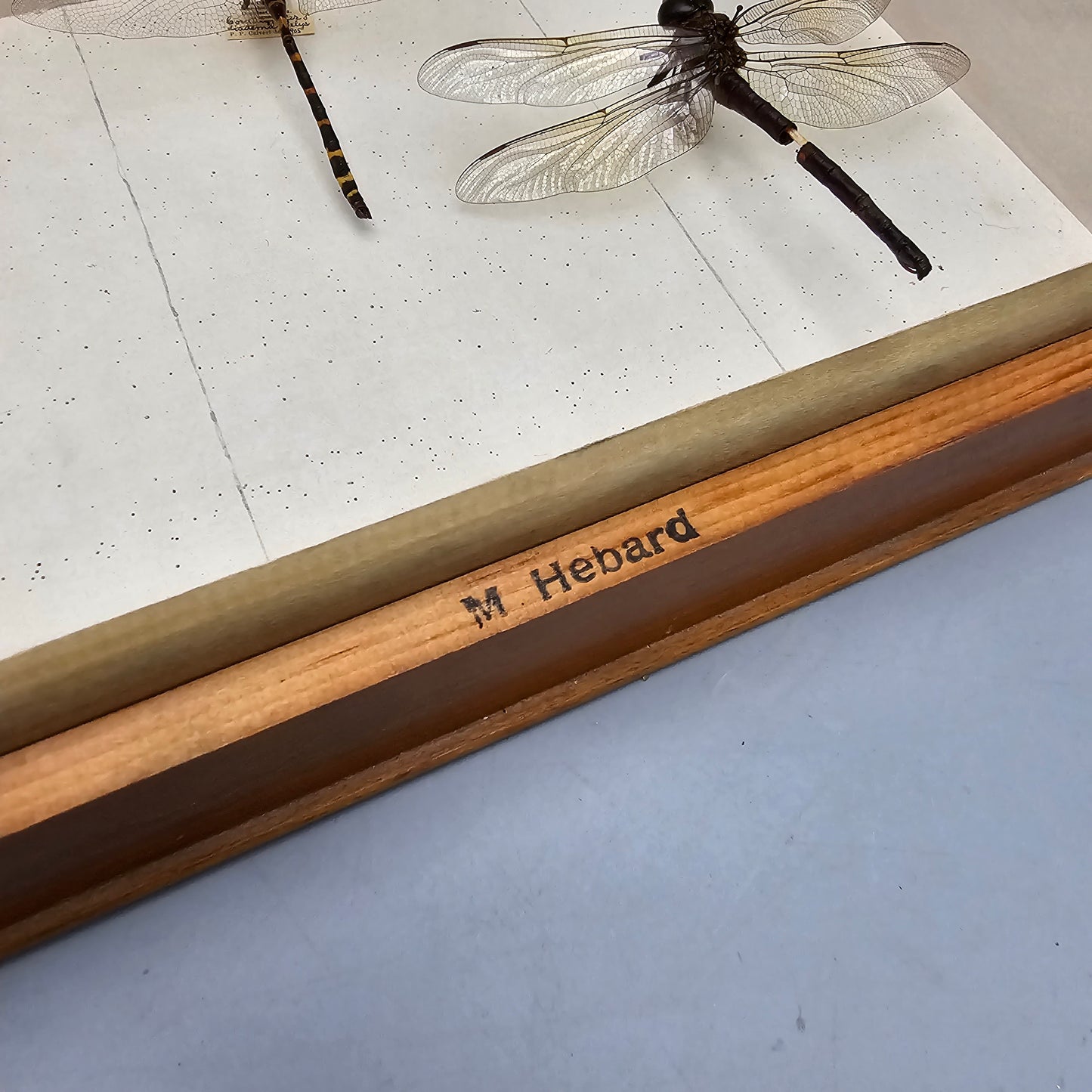 Wooden Box with Dragonfly Collection