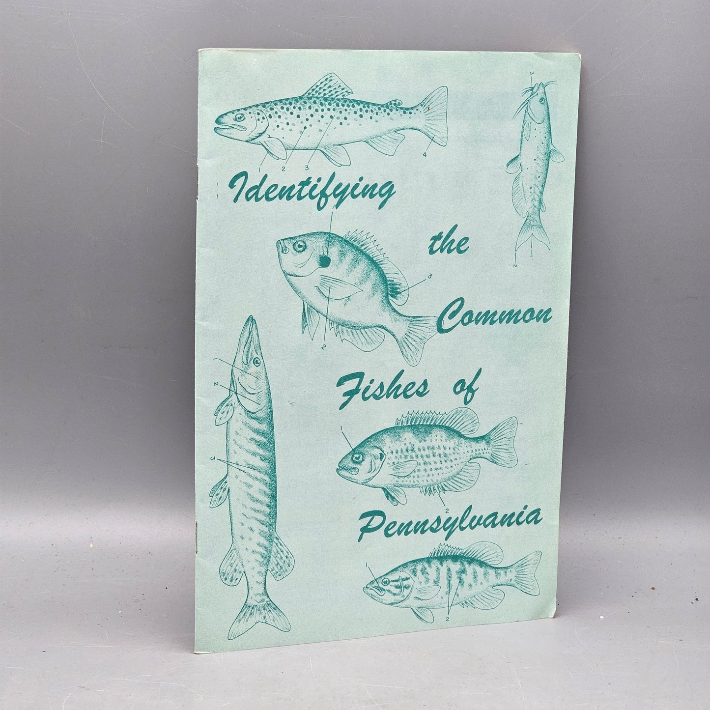 Vintage Book "Identifying The Common Fishes Of Pennsylvania" By Buss And Miller
