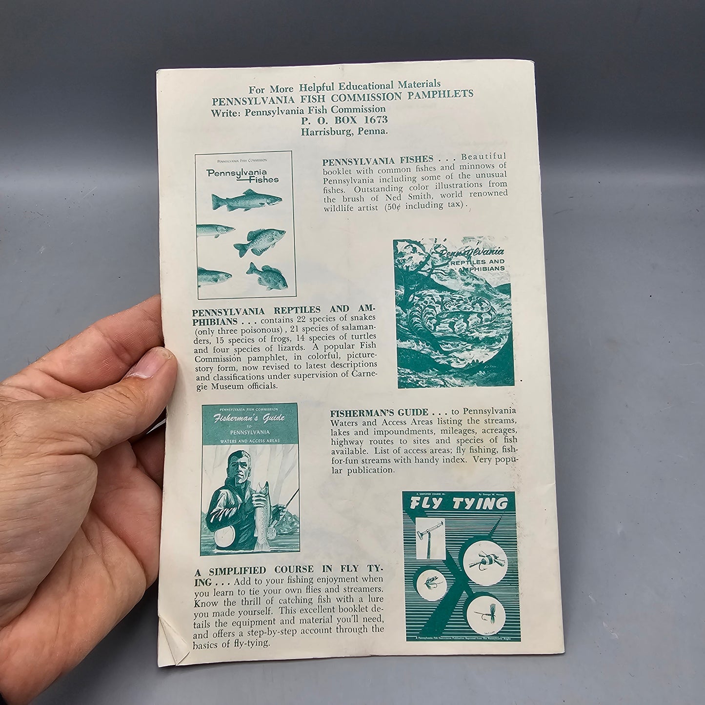 Vintage Book "Identifying The Common Fishes Of Pennsylvania" By Buss And Miller