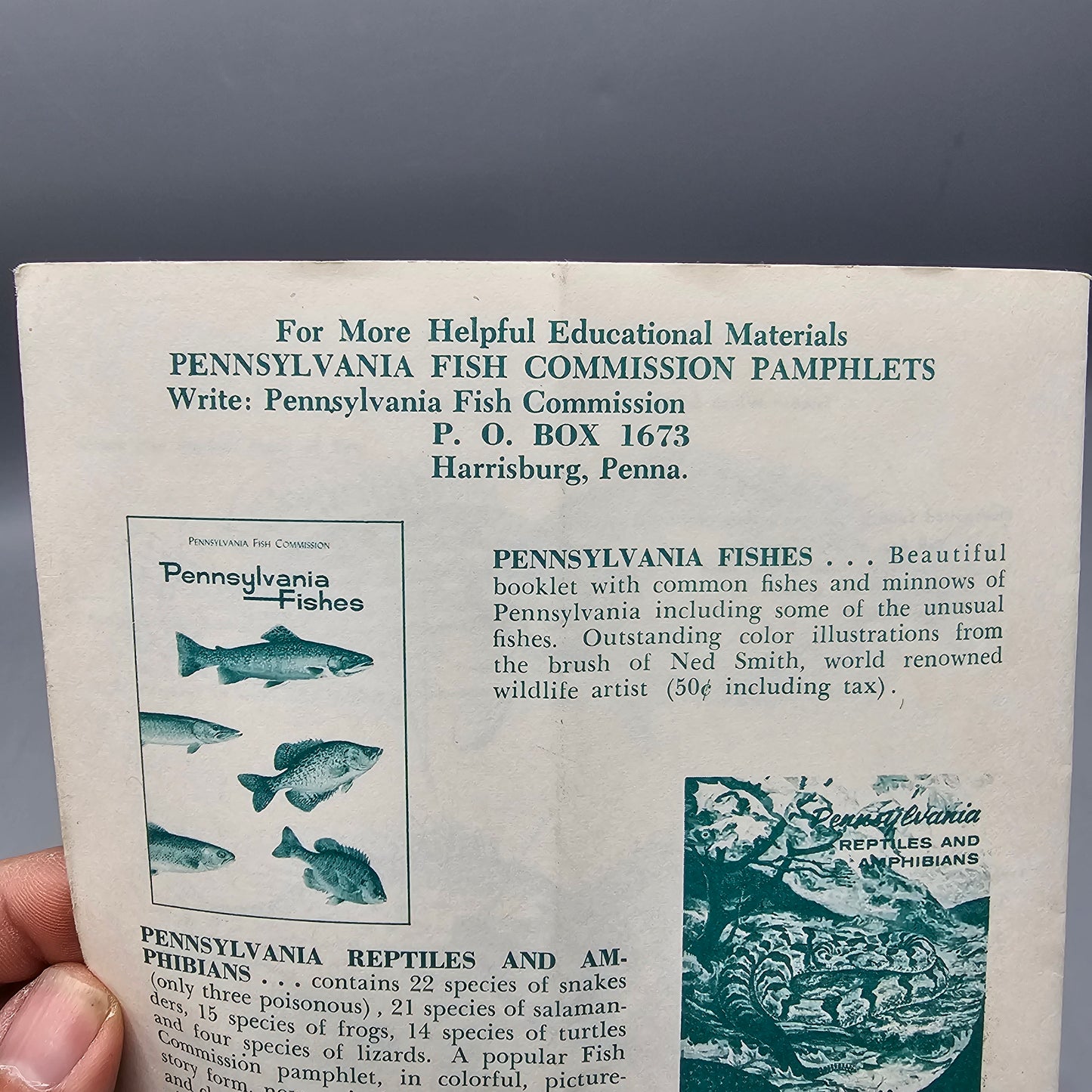Vintage Book "Identifying The Common Fishes Of Pennsylvania" By Buss And Miller