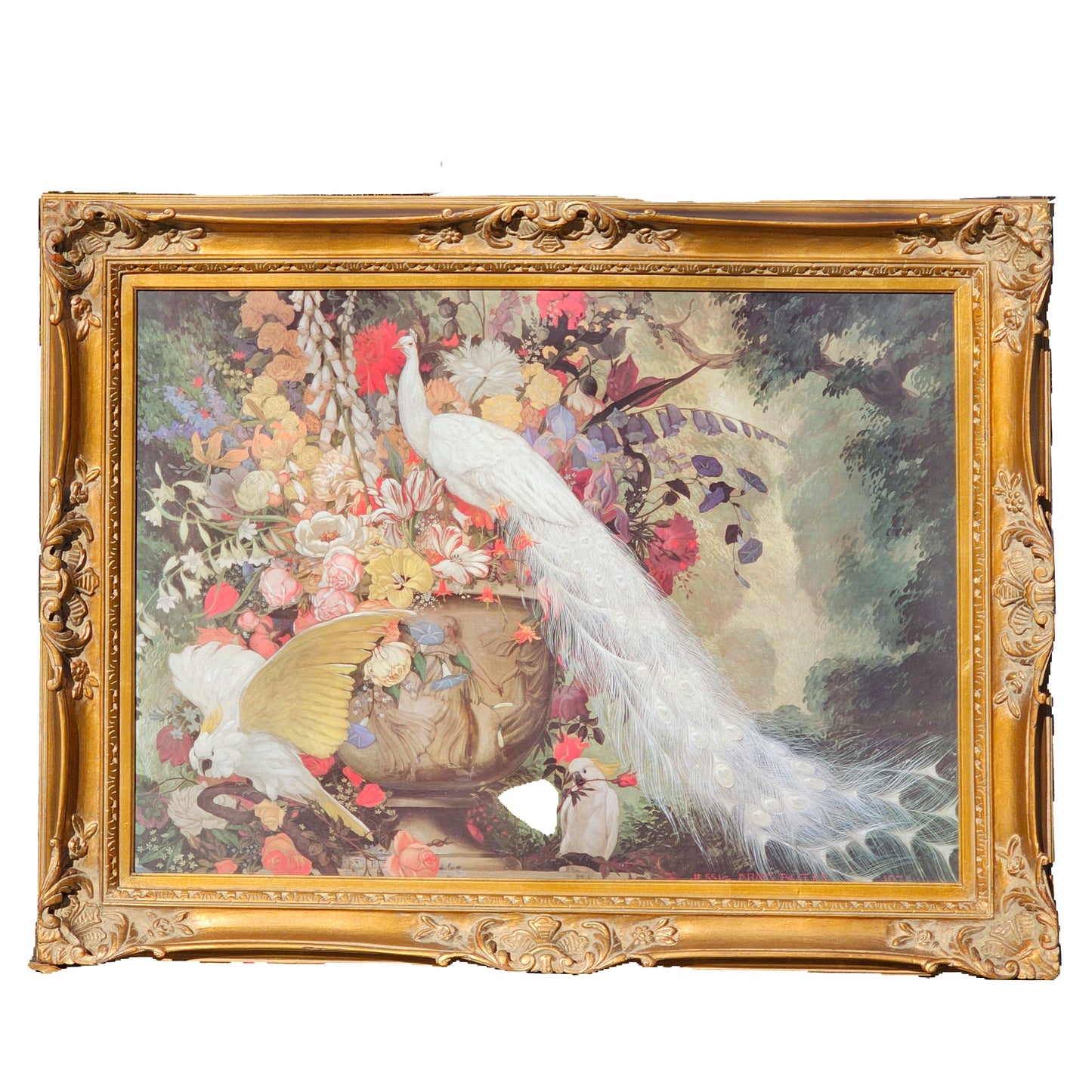 Large Jessie Arms Botke Lithograph of White Peacock in Ornate Gold Frame