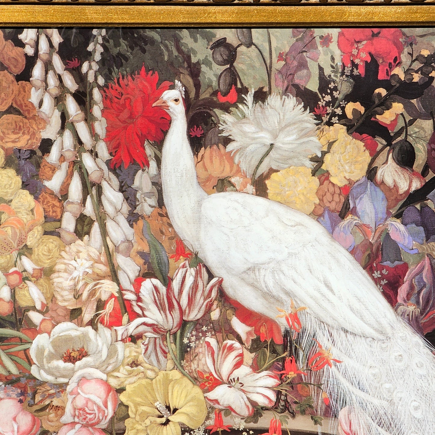 Large Jessie Arms Botke Lithograph of White Peacock in Ornate Gold Frame