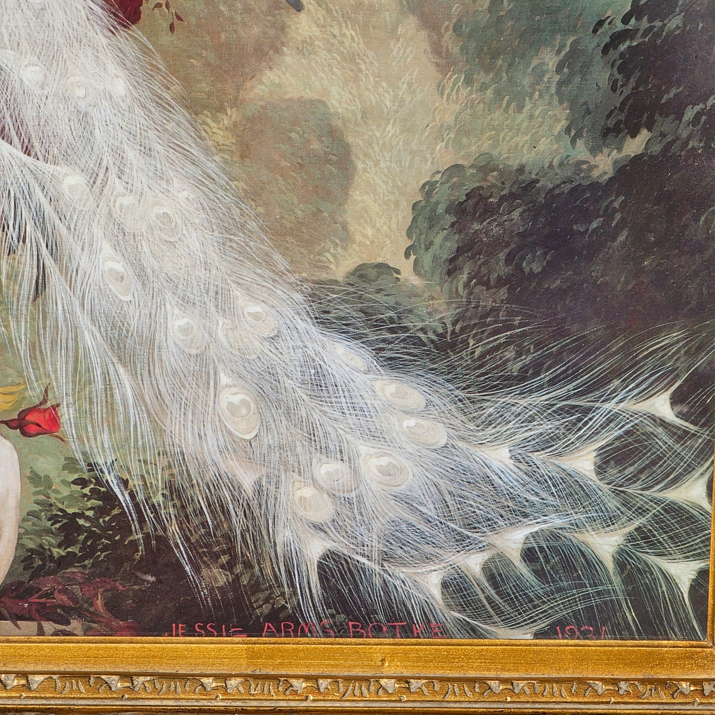 Large Jessie Arms Botke Lithograph of White Peacock in Ornate Gold Frame