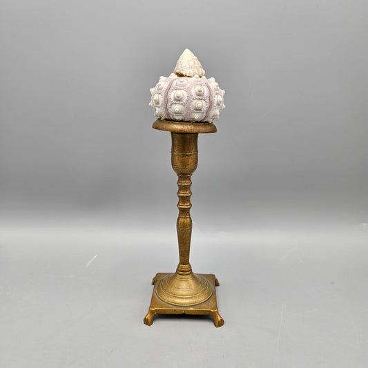 Antique Brass Candlestick with Seashell Finial