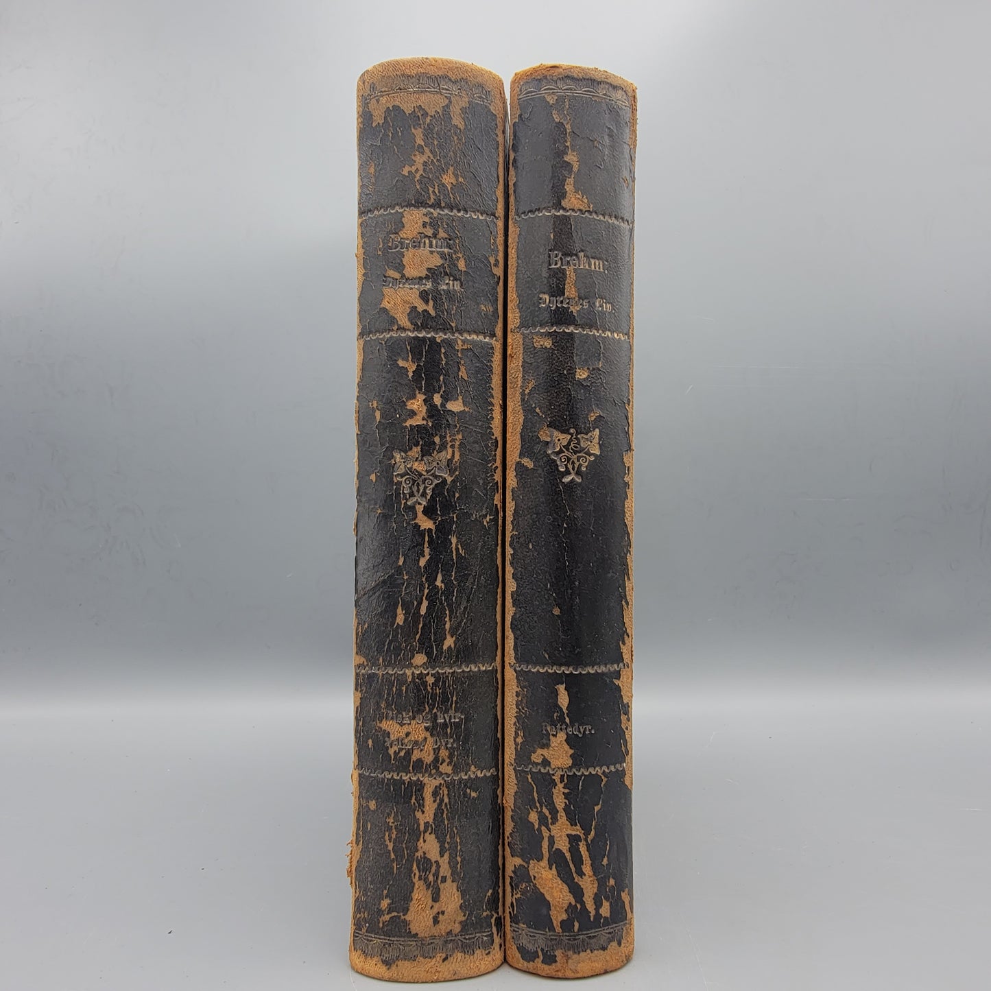 Book: A Brehm "Dryenes Liv"