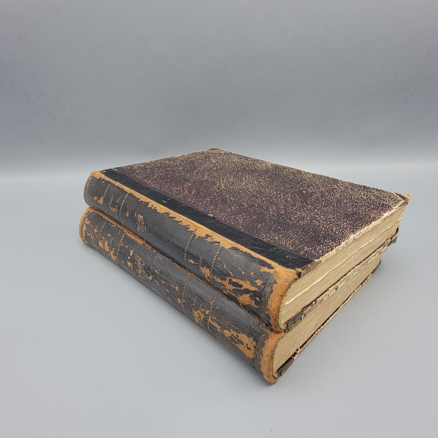 Book: A Brehm "Dryenes Liv"